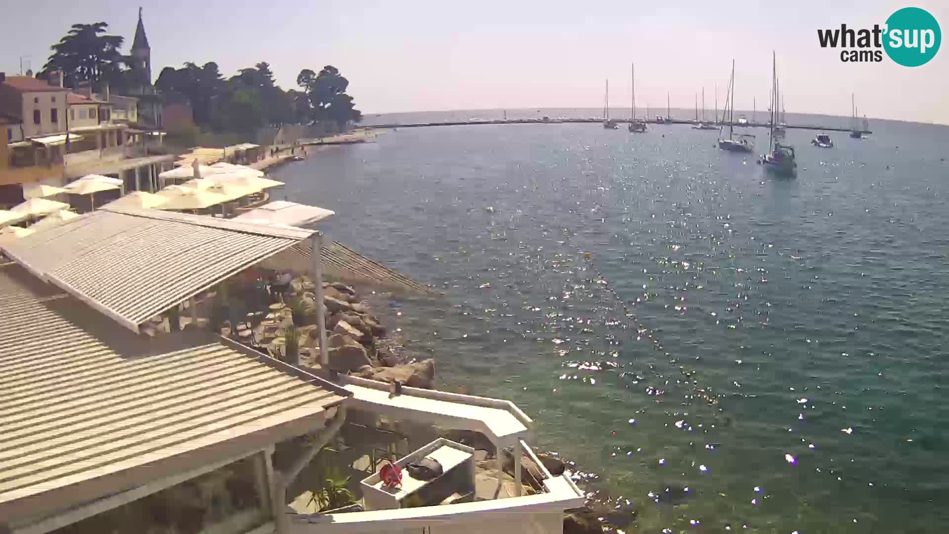 Novigrad live webcam – Porporela