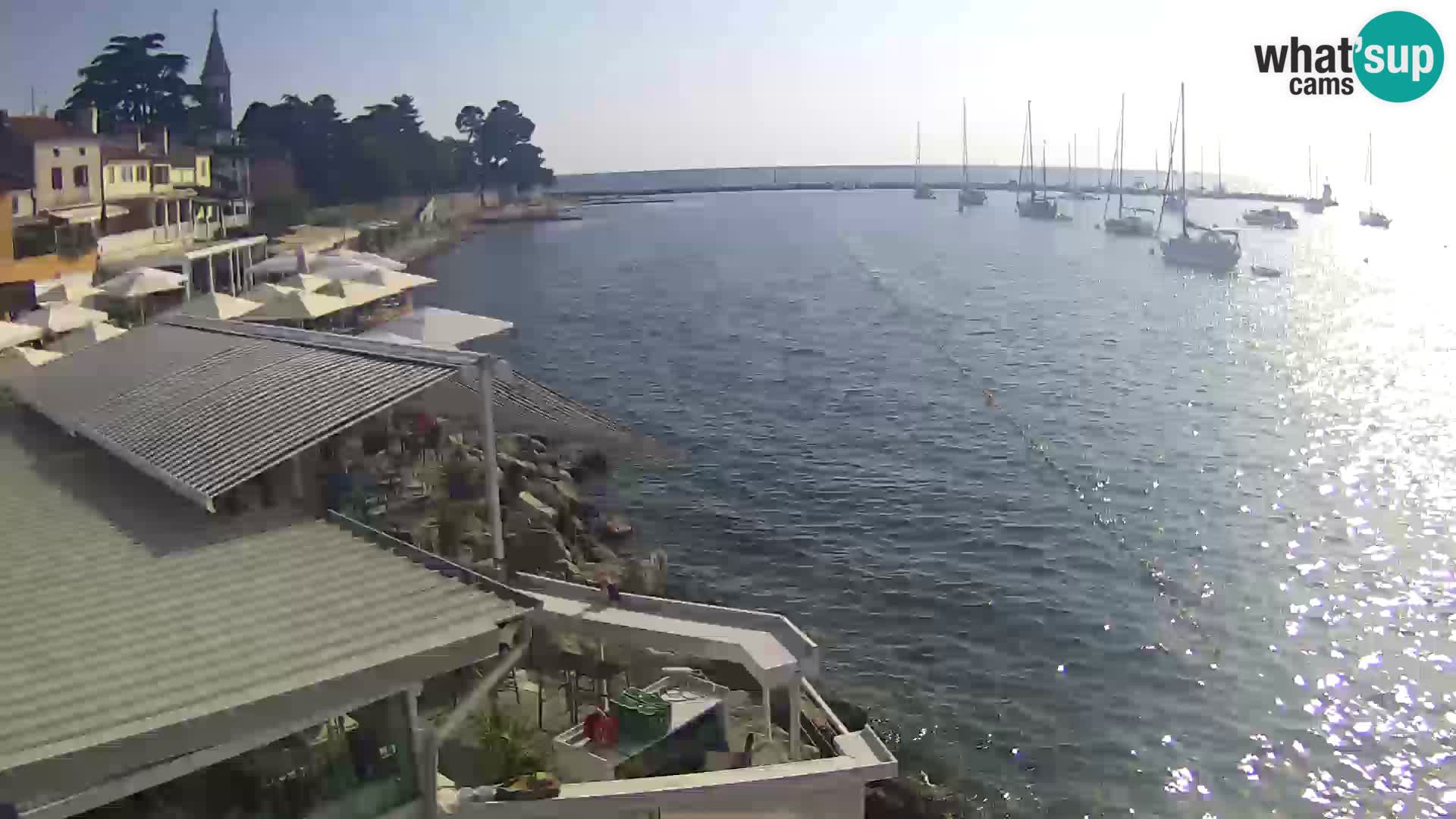 V živo Novigrad – Porporela