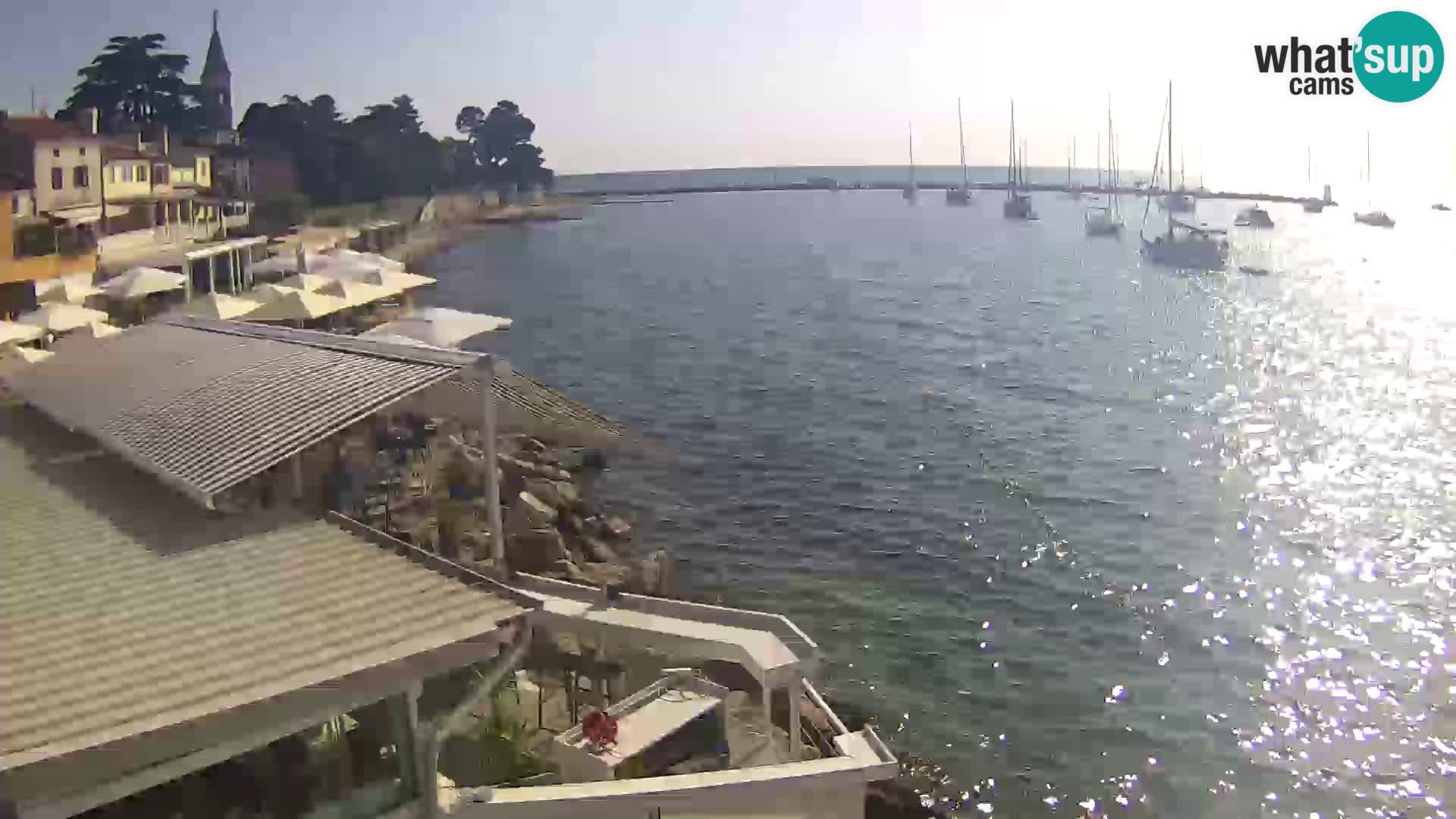 Live webcam Novigrad – Porporela – Istria – Croatia
