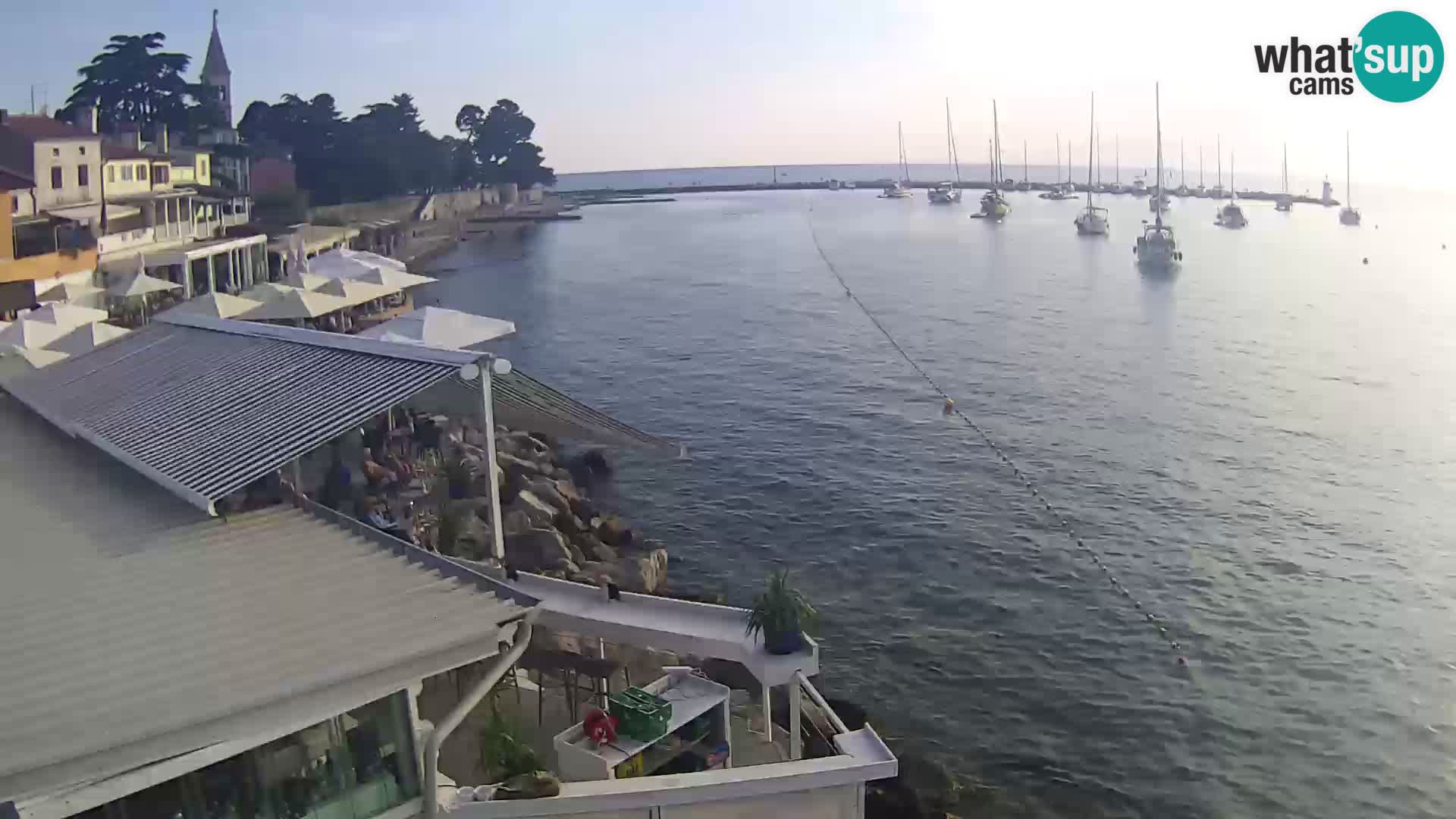 LIVE cam Novigrad – Porporela