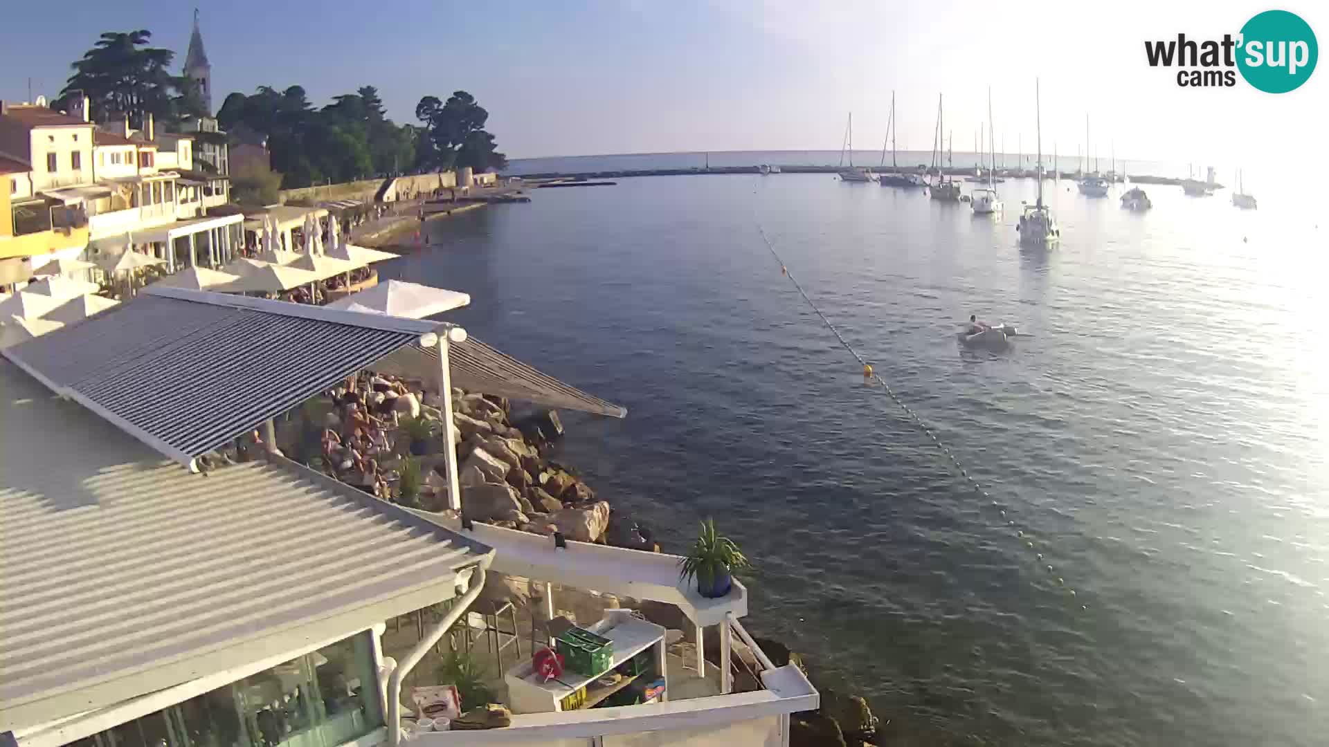 Live webcam Novigrad – Porporela – Istria – Croatia