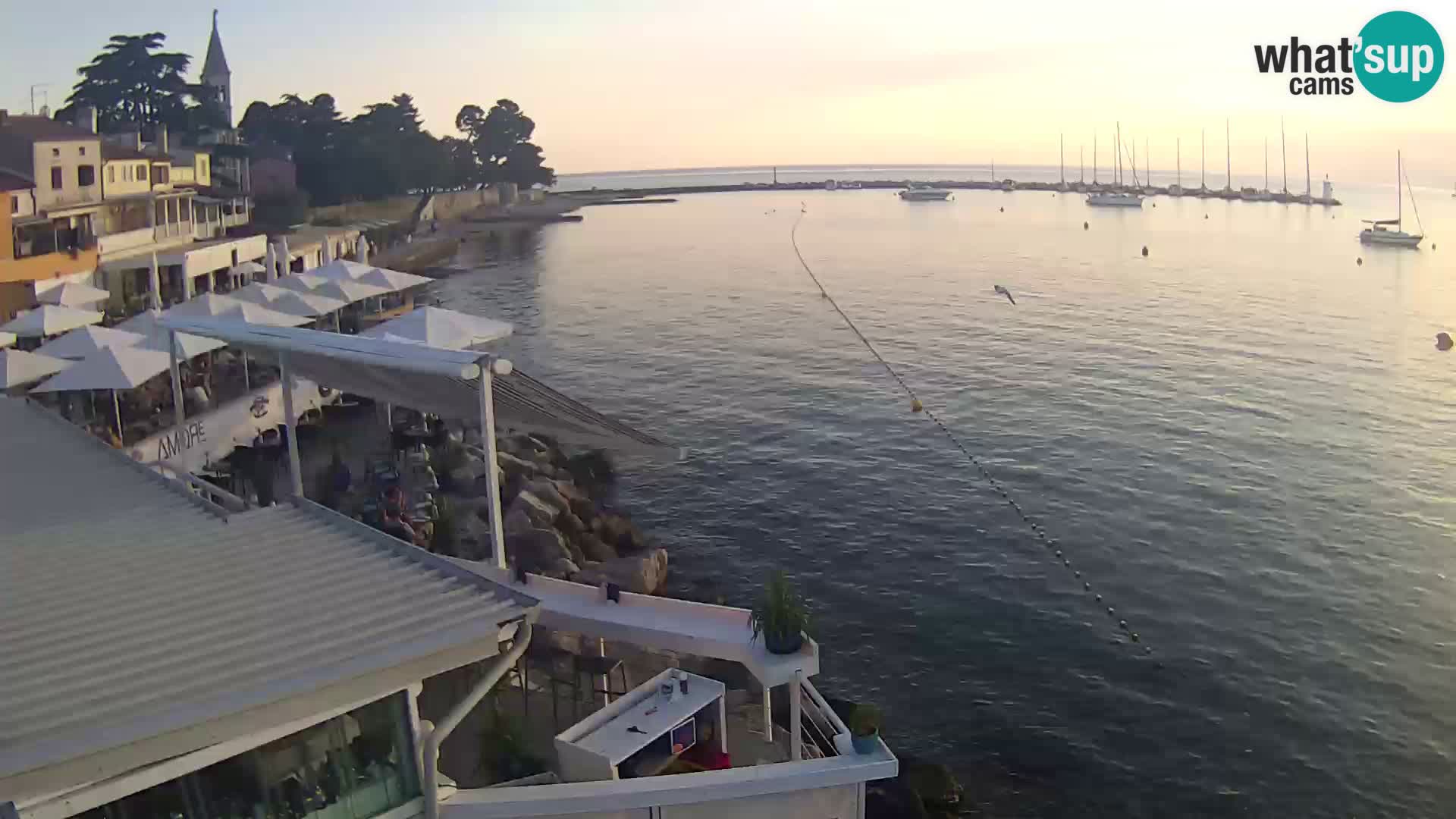 Live webcam Novigrad – Porporela – Istria – Croatia