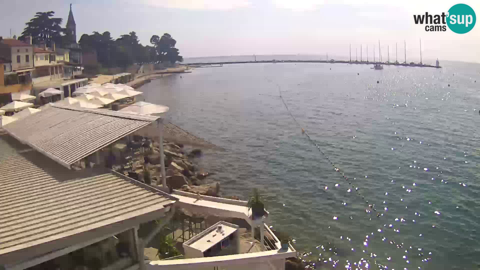 Novigrad live webcam – Porporela