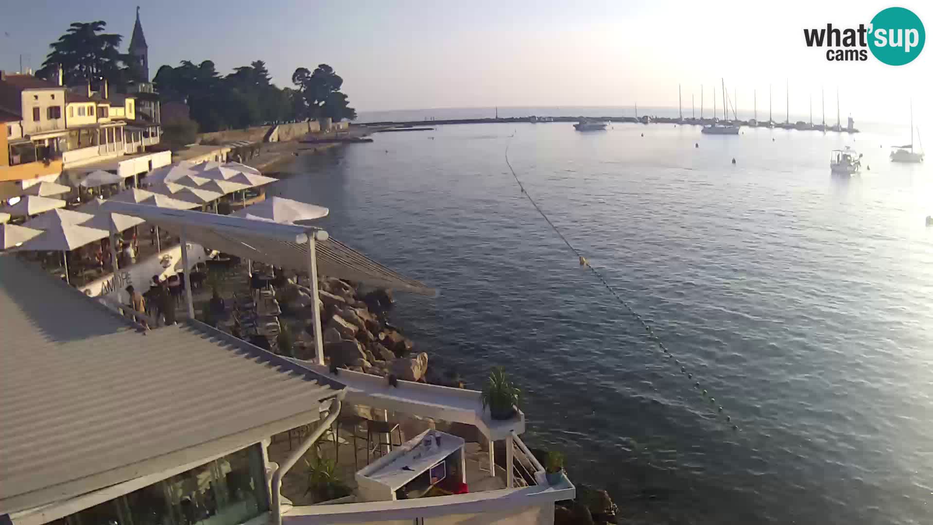 V živo Novigrad – Porporela