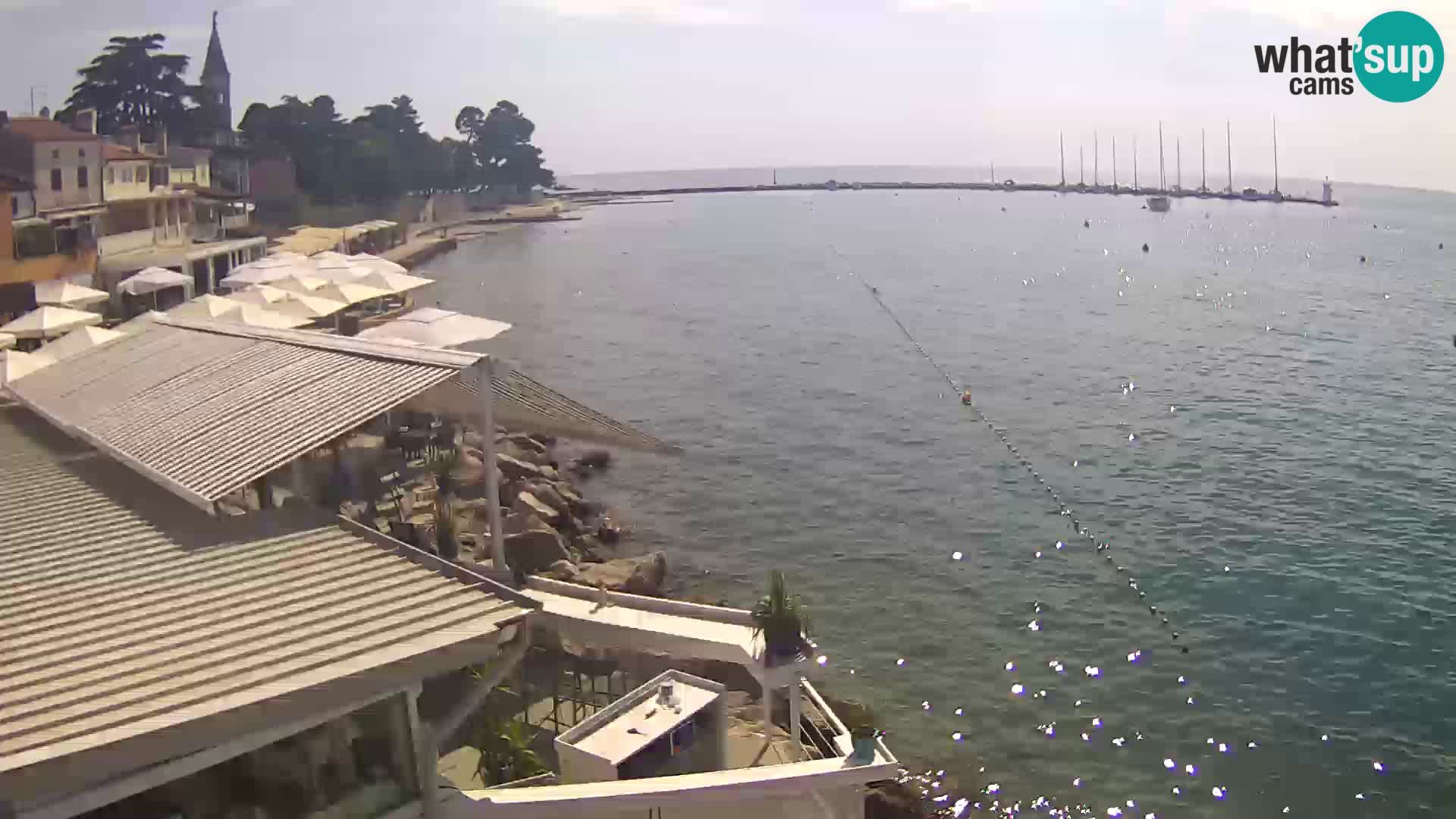 Live webcam Novigrad – Porporela – Istria – Croatia