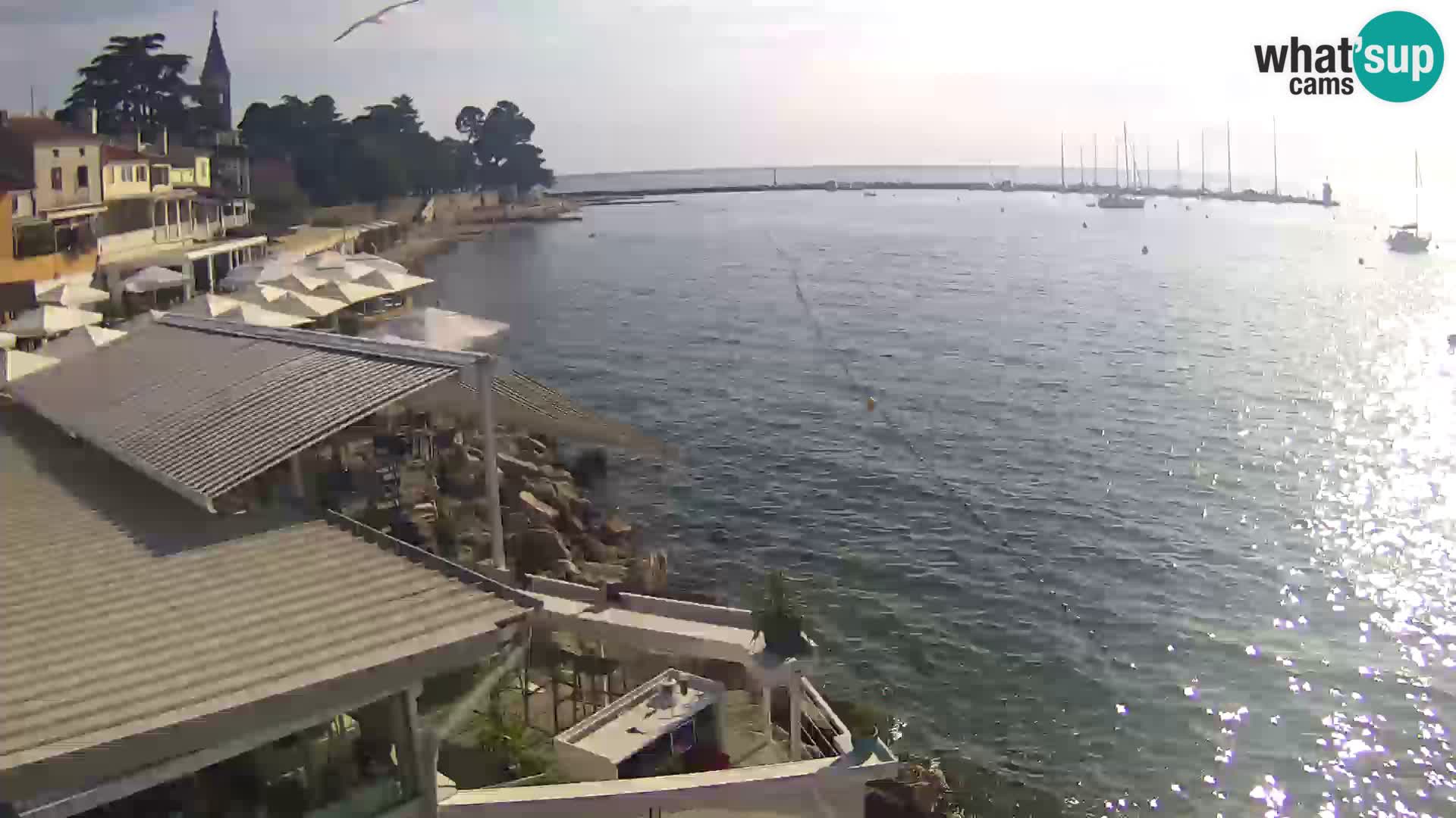 Novigrad – Porporela