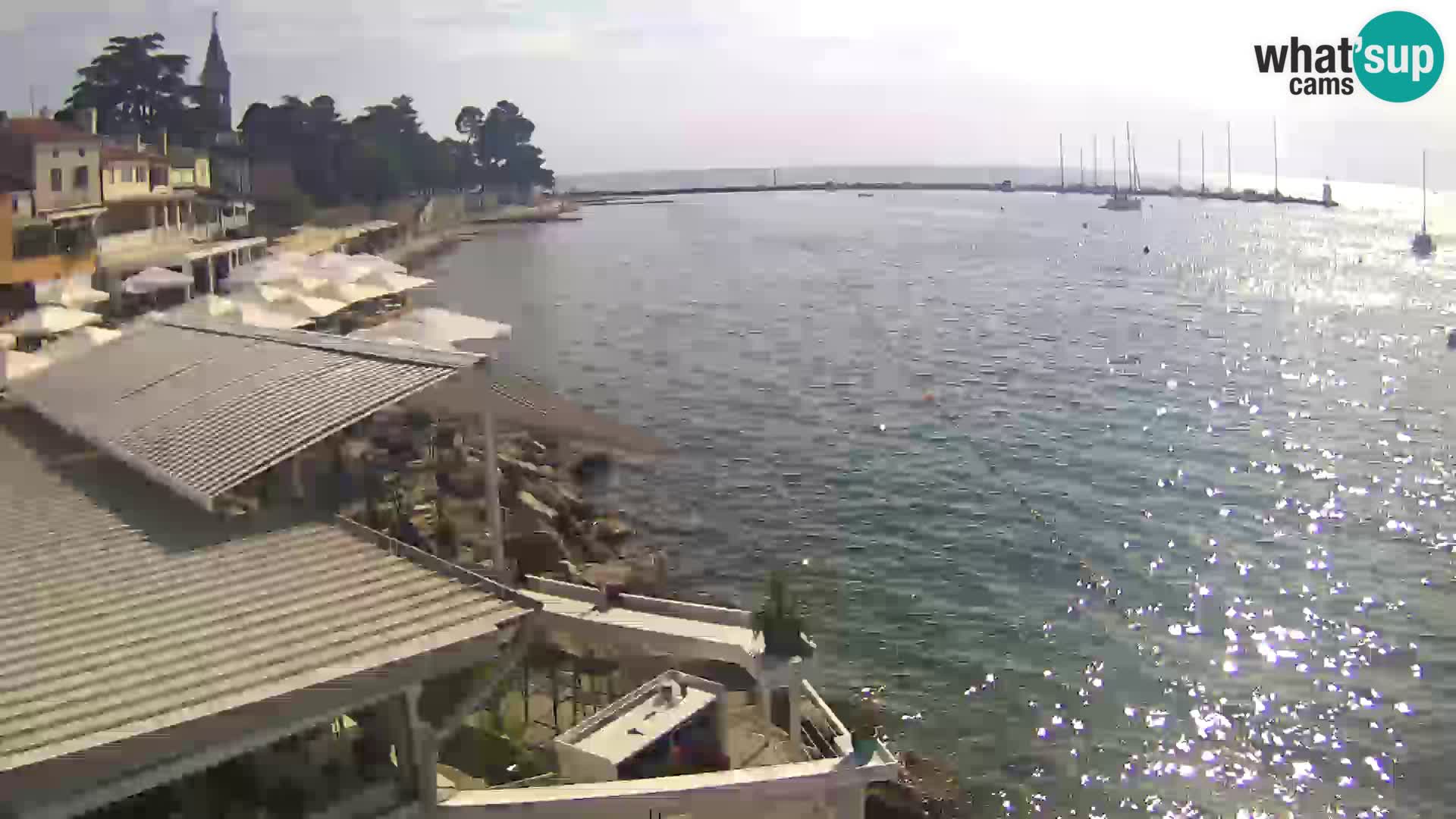 V živo Novigrad – Porporela