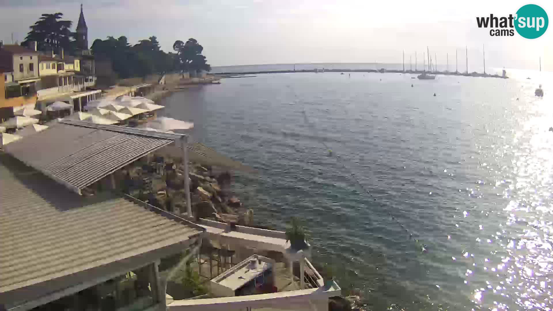 V živo Novigrad – Porporela