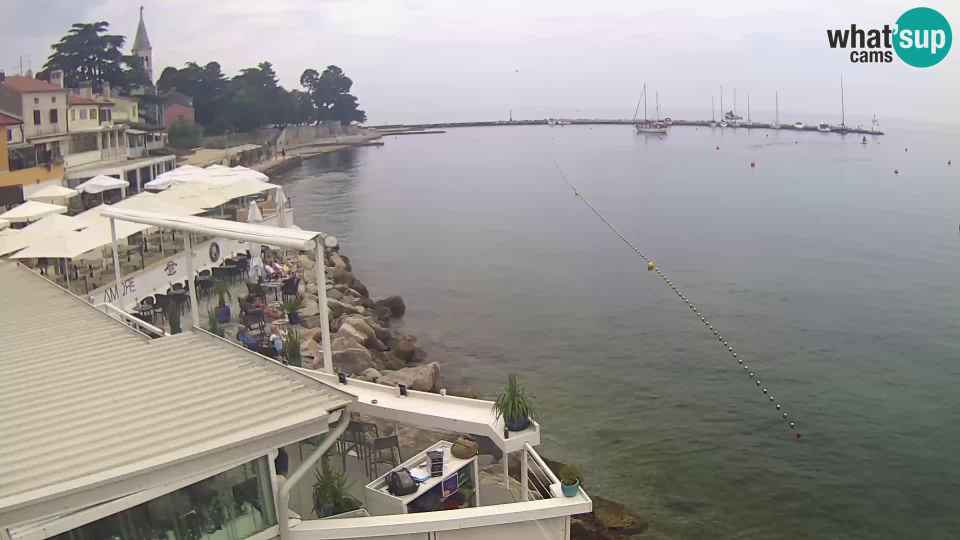 V živo Novigrad – Porporela