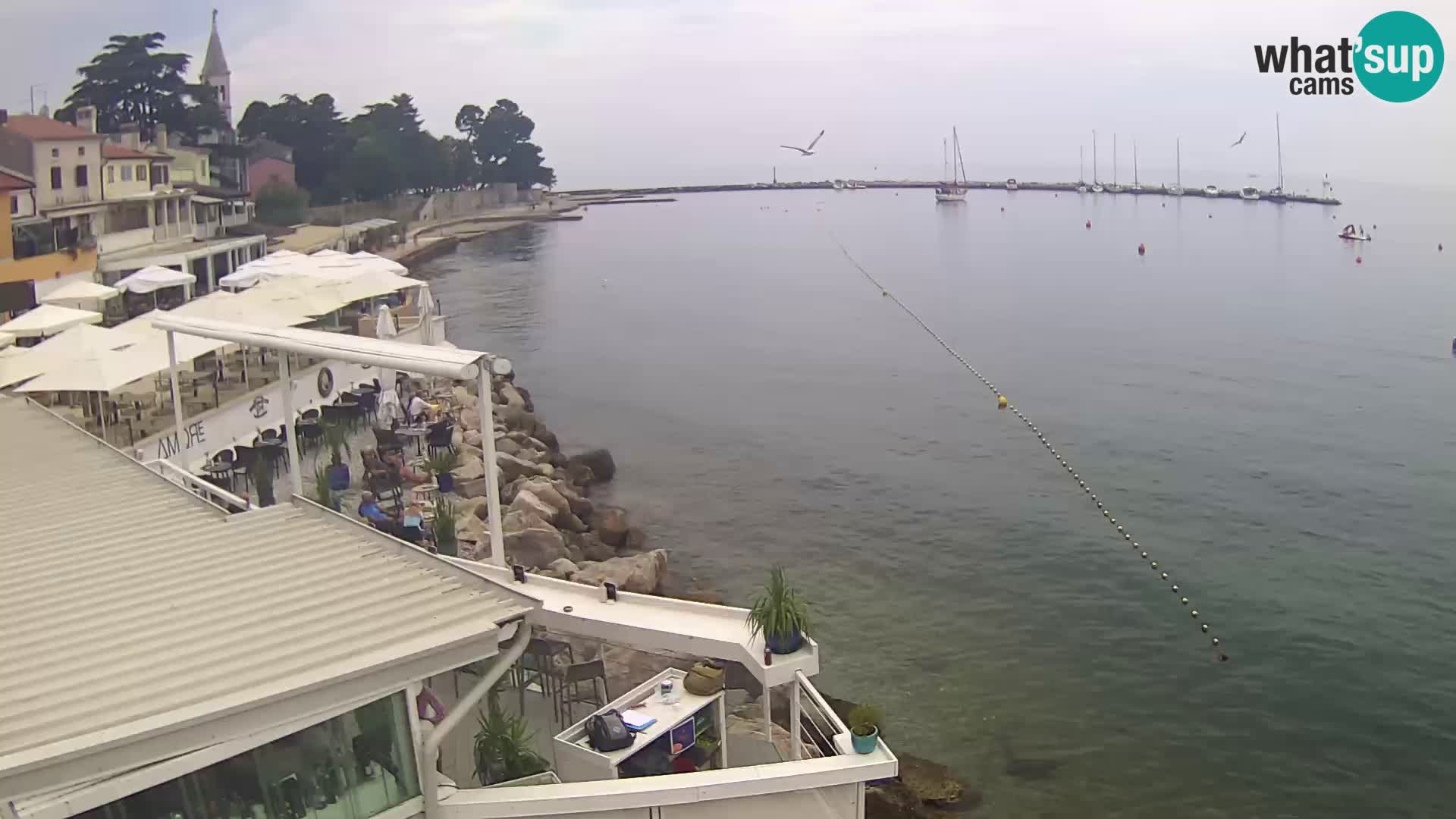 Novigrad live webcam – Porporela
