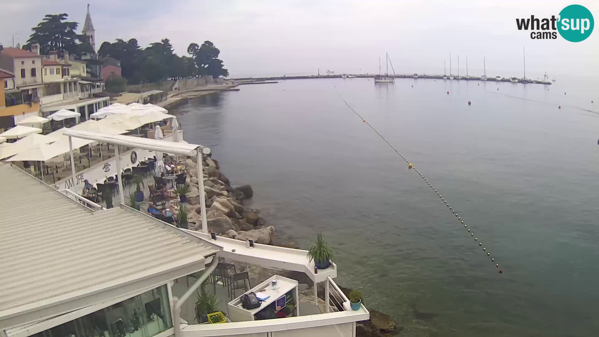 Novigrad live webcam – Porporela
