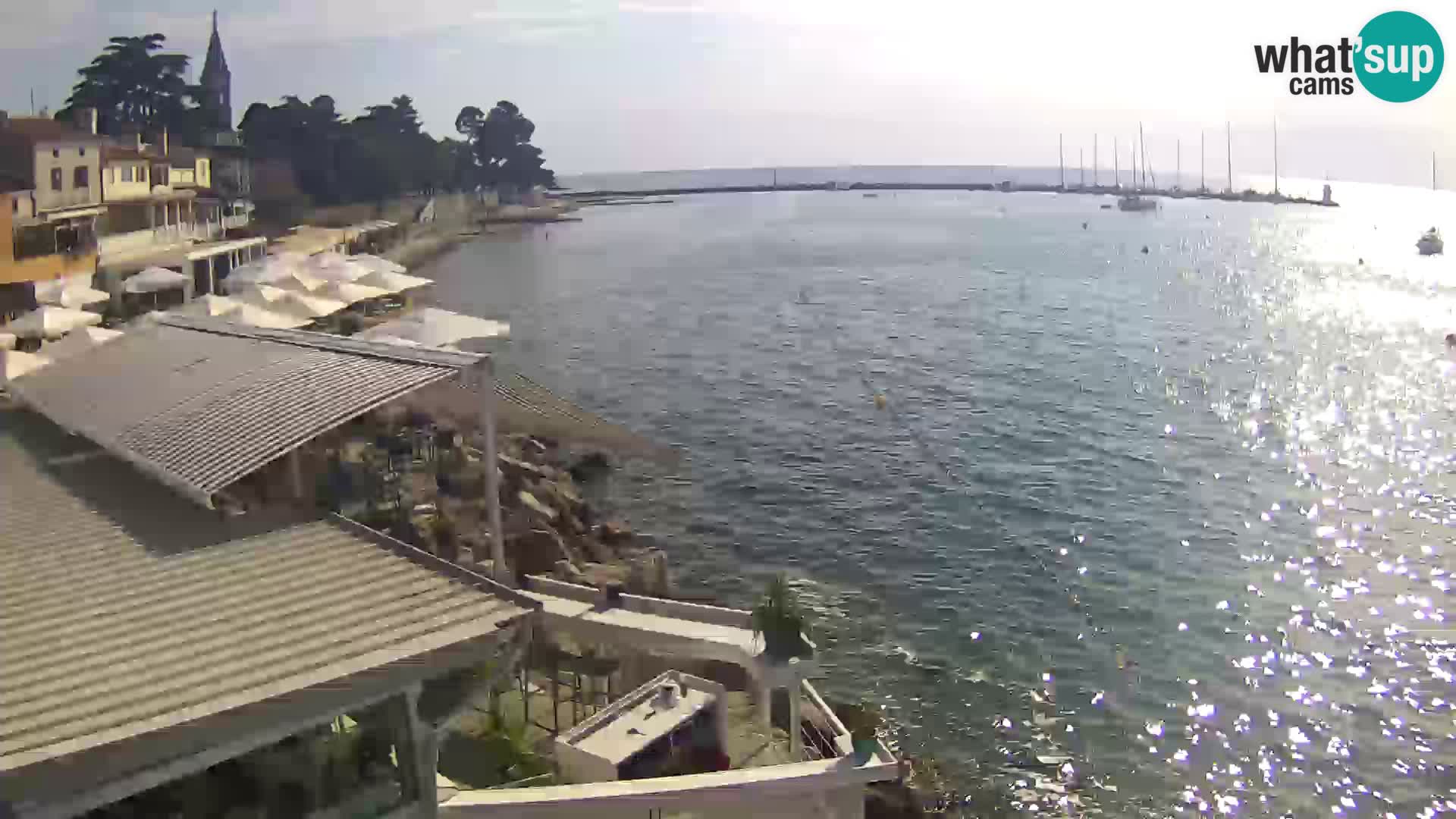 V živo Novigrad – Porporela