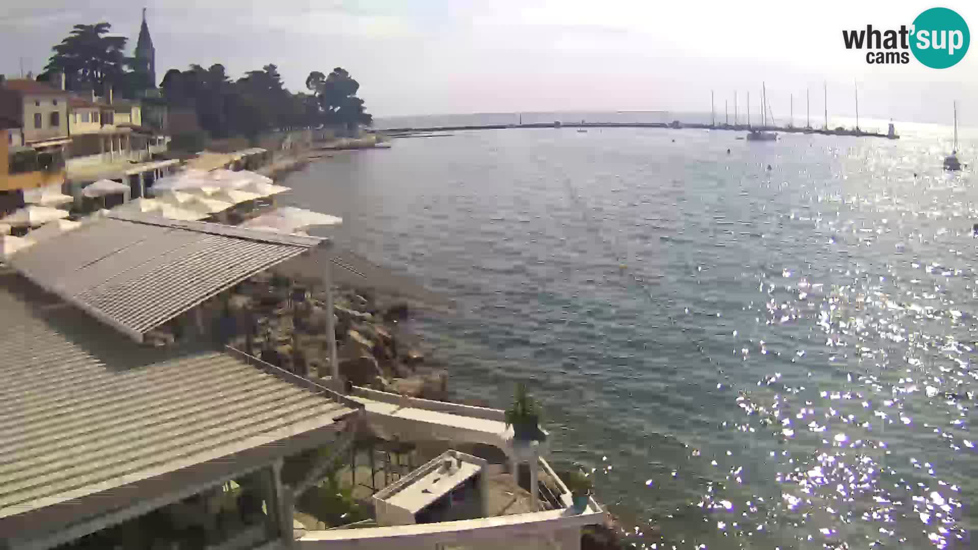 Novigrad – Porporela