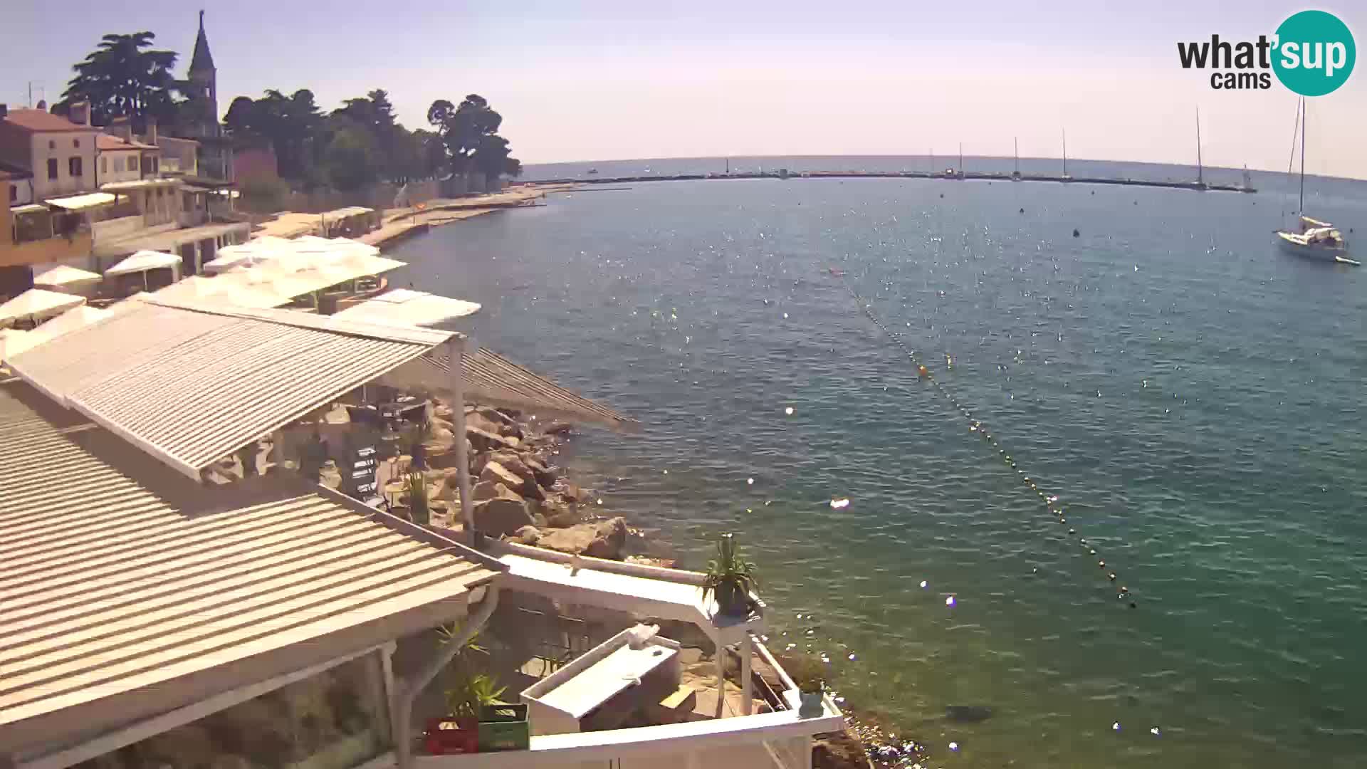LIVE cam Novigrad – Porporela