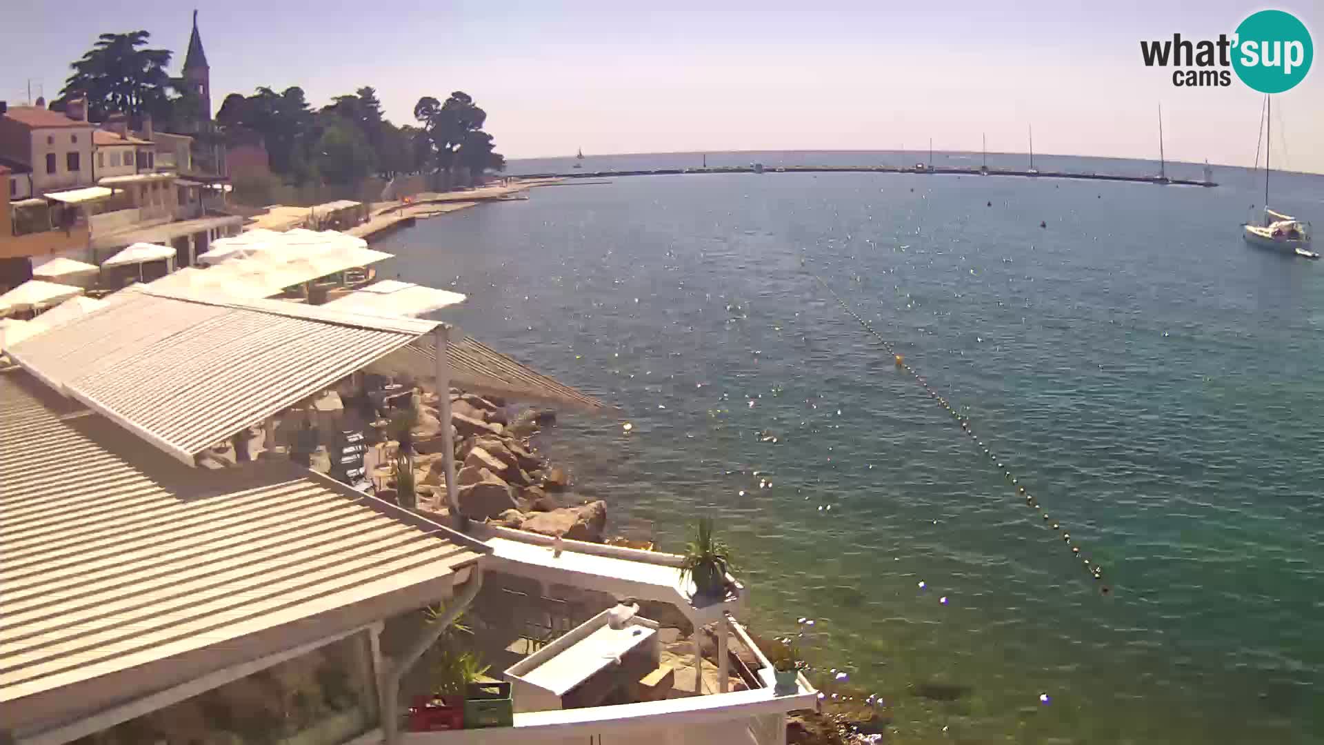 Live webcam Novigrad – Porporela – Istria – Croatia