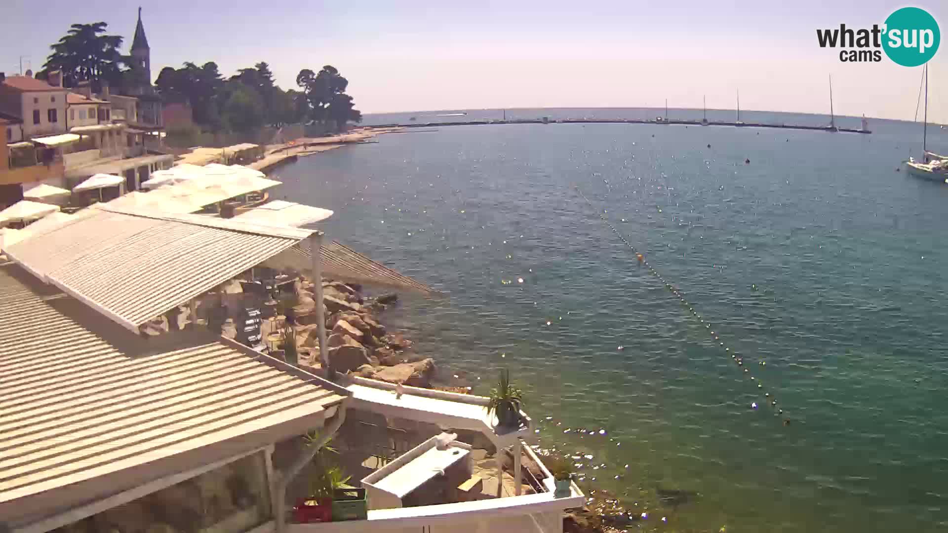 Novigrad – Porporela