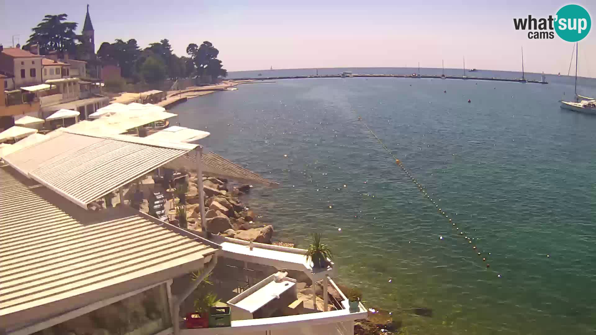 LIVE cam Novigrad – Porporela