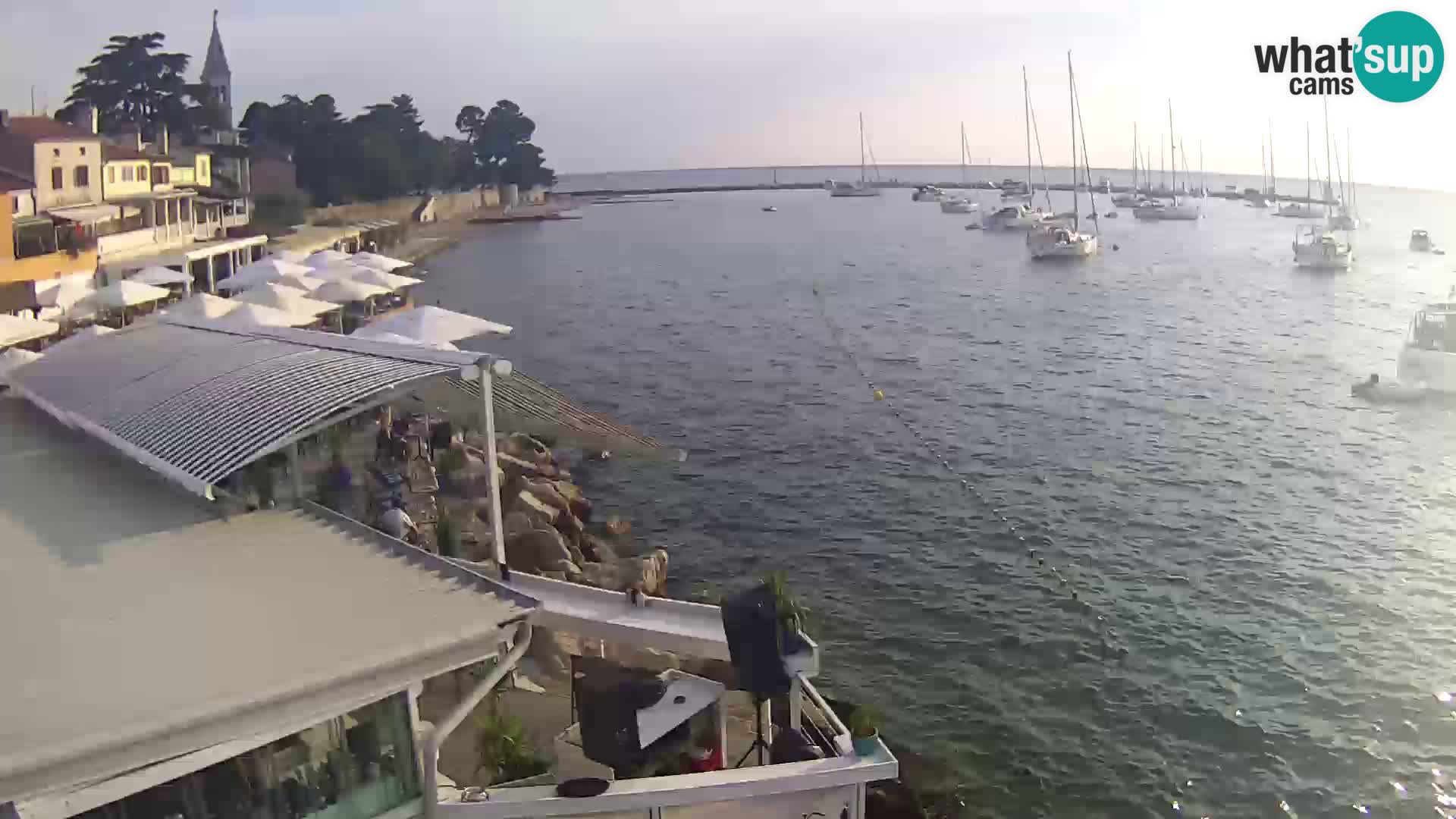 Novigrad live webcam – Porporela