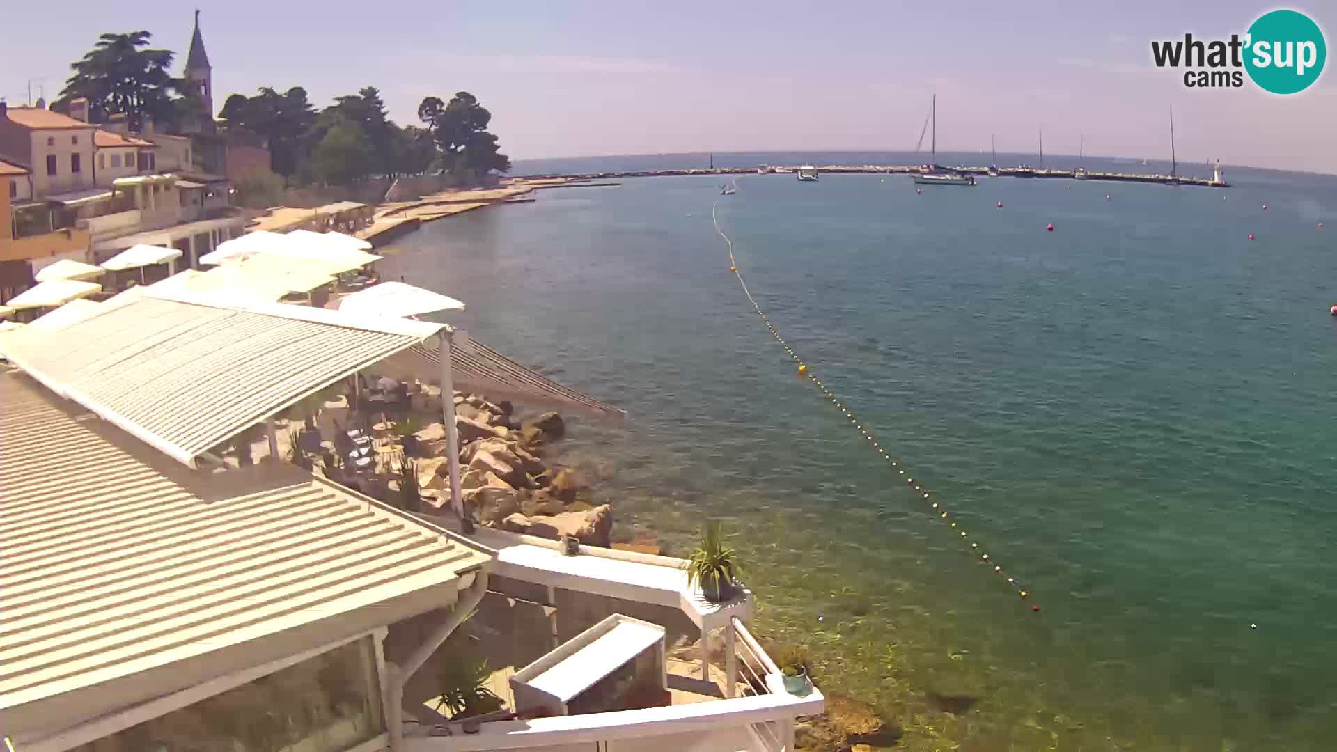 LIVE cam Novigrad – Porporela