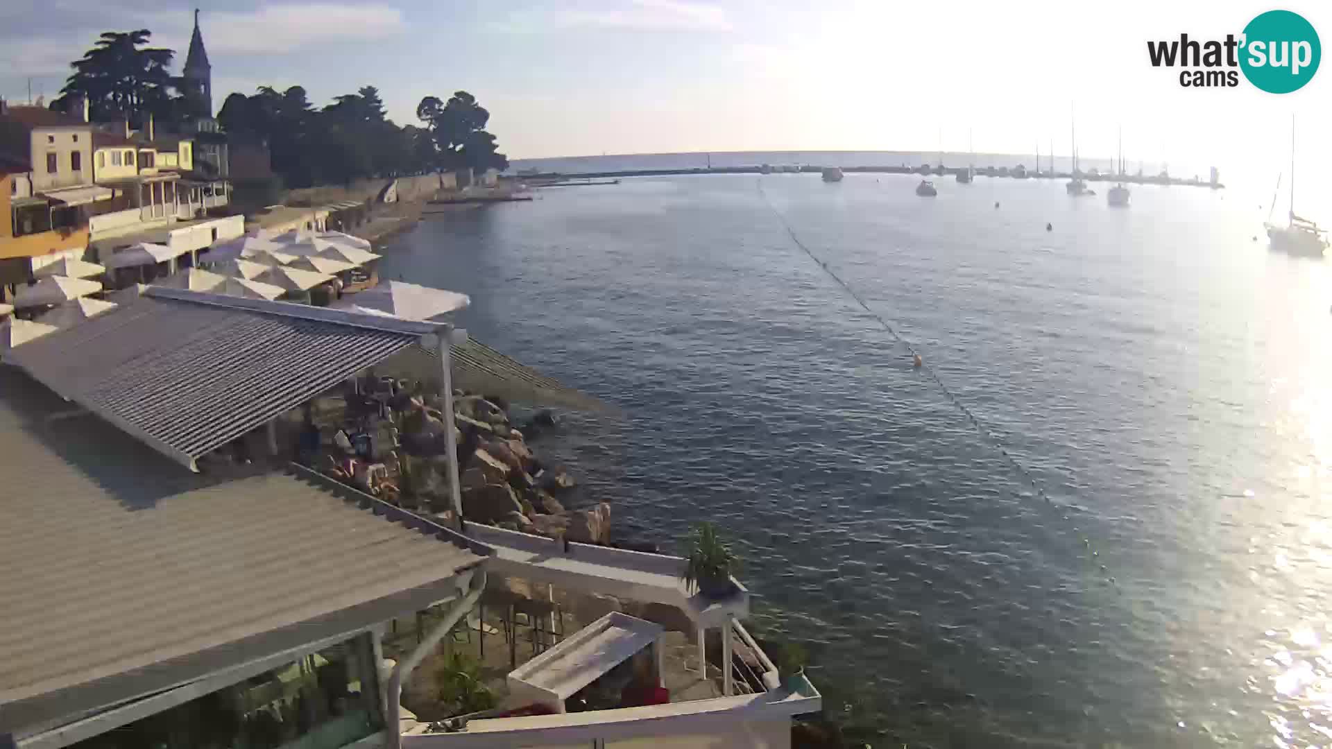 LIVE cam Novigrad – Porporela