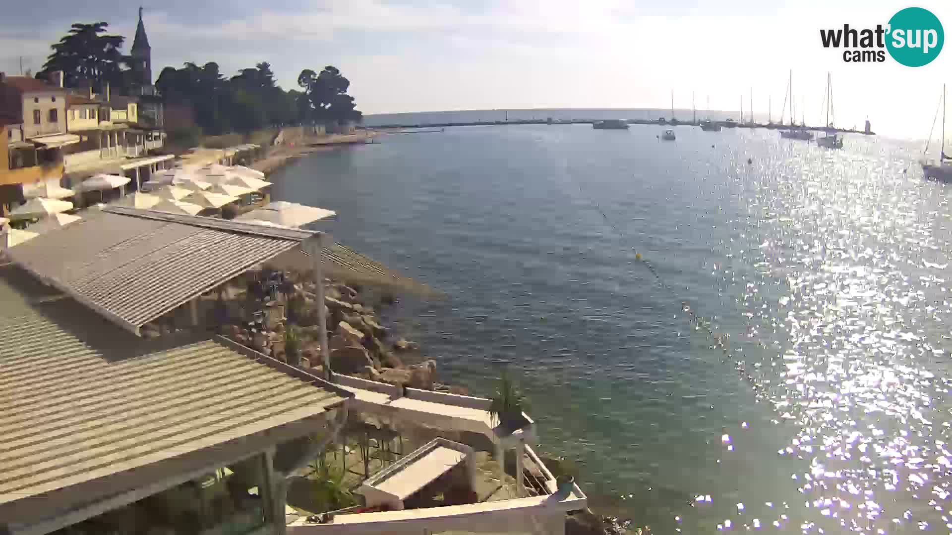 V živo Novigrad – Porporela