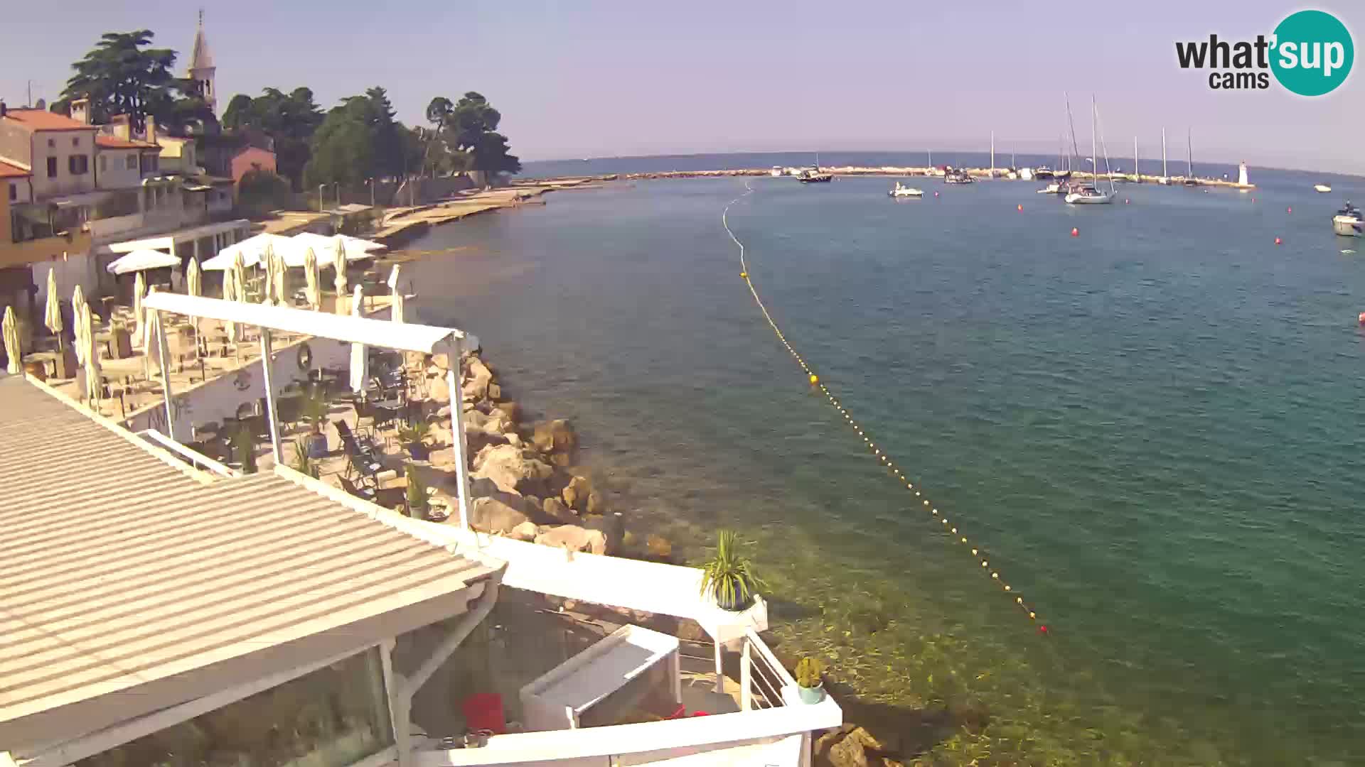 LIVE cam Novigrad – Porporela
