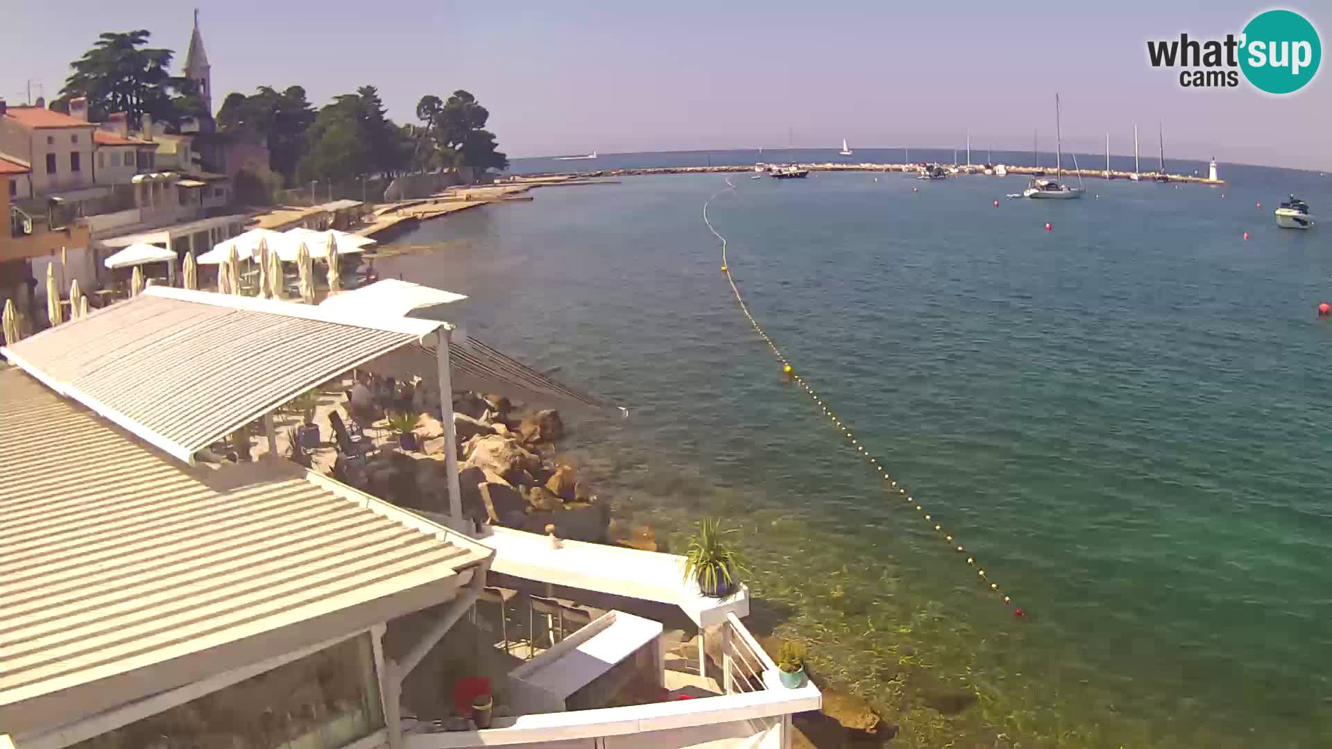 Live webcam Novigrad – Porporela – Istria – Croatia