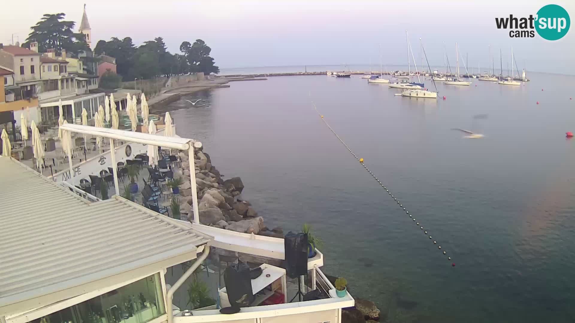 Novigrad live webcam – Porporela