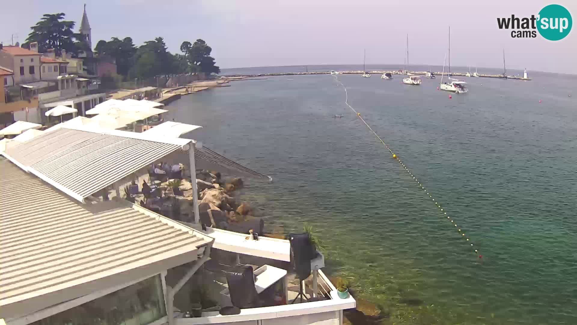 Live webcam Novigrad – Porporela – Istria – Croatia