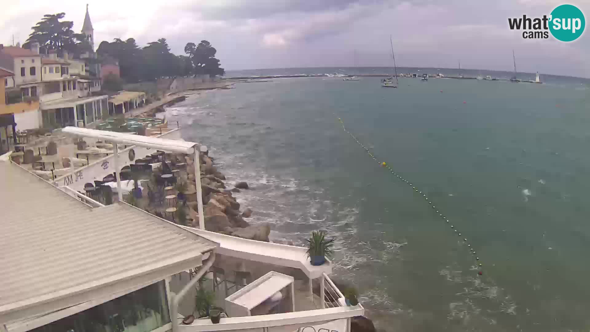 V živo Novigrad – Porporela