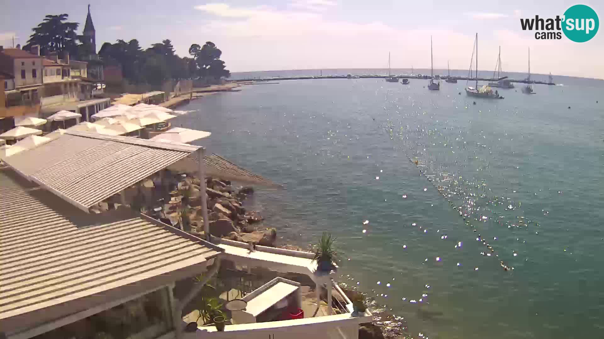 Novigrad live webcam – Porporela