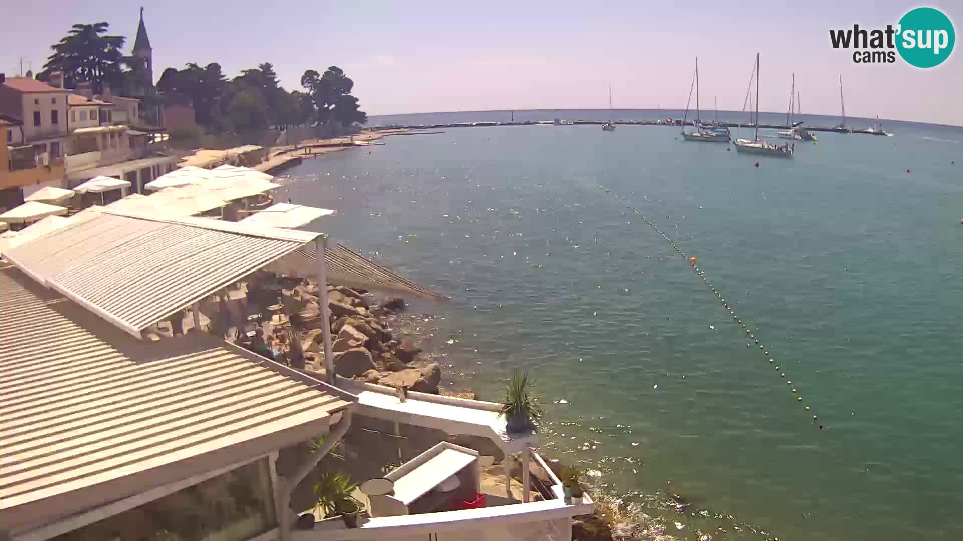 LIVE cam Novigrad – Porporela