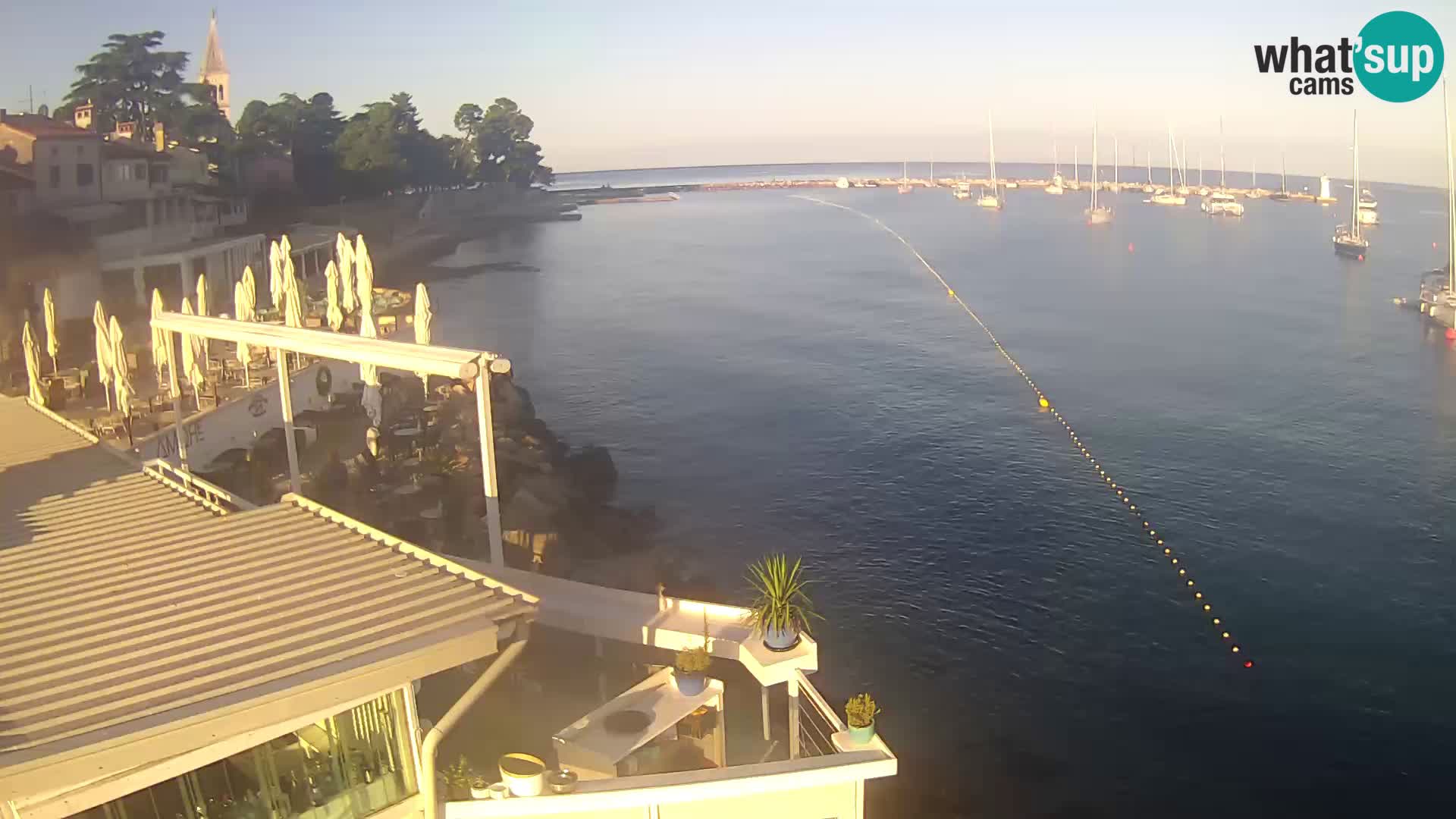 V živo Novigrad – Porporela