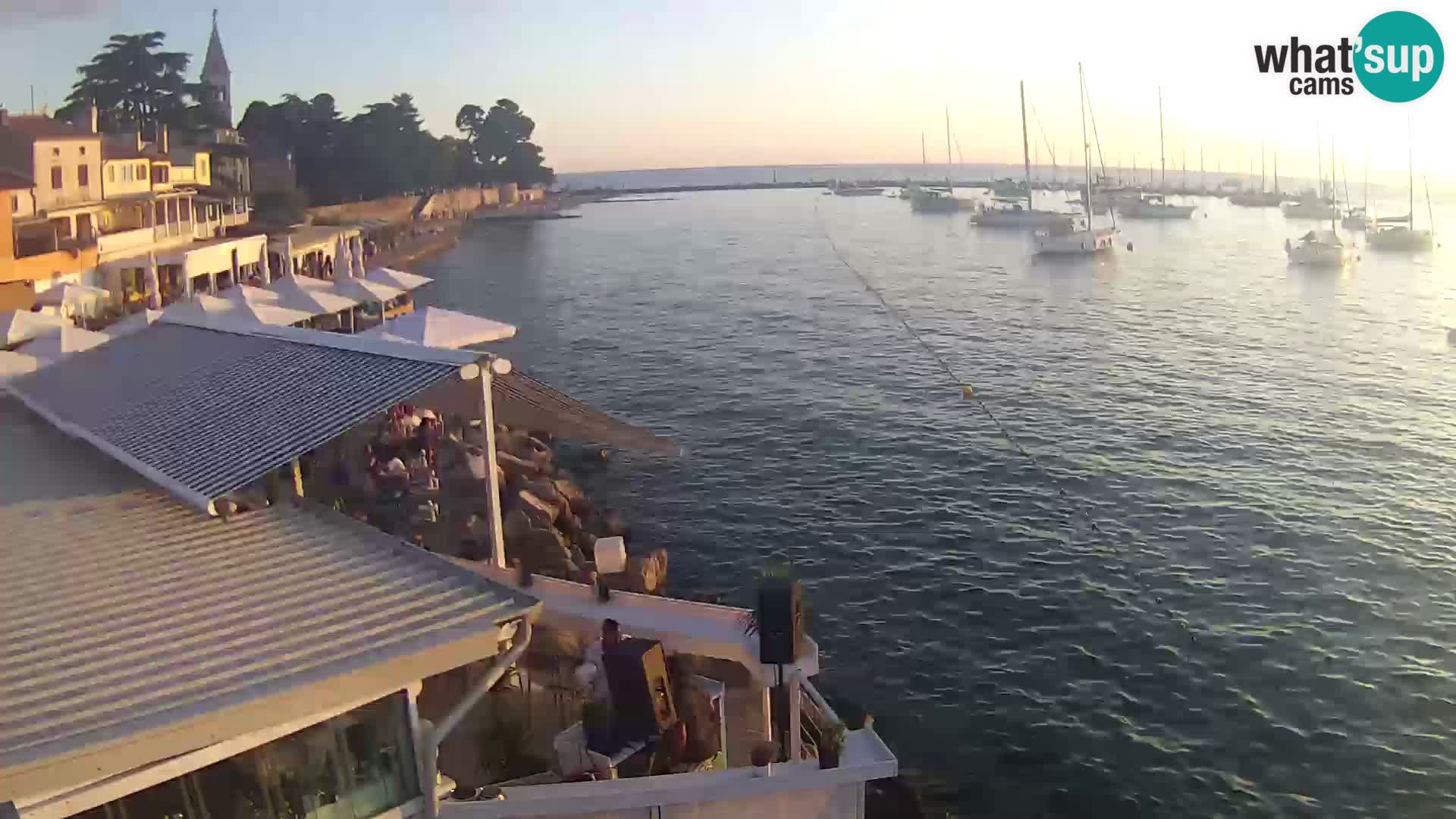 V živo Novigrad – Porporela