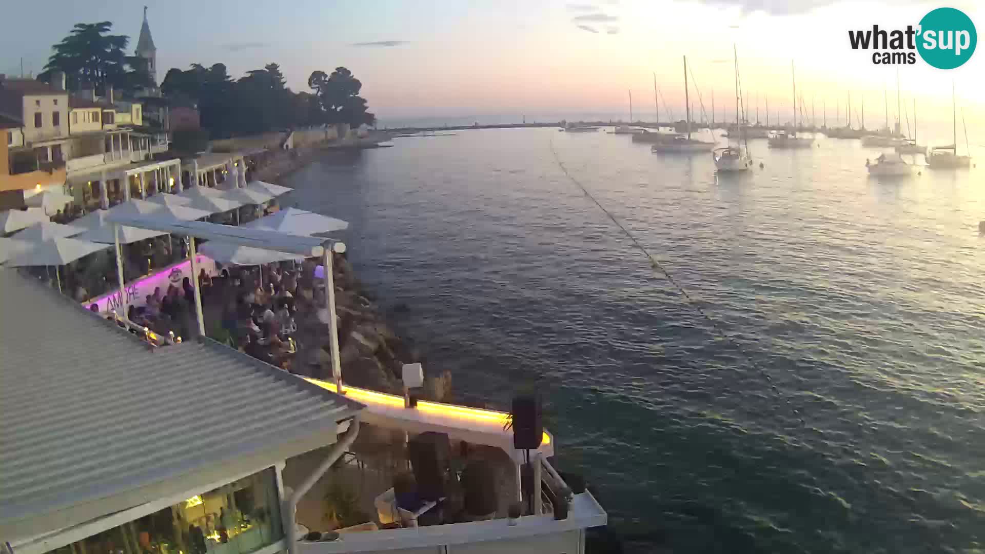 LIVE cam Novigrad – Porporela