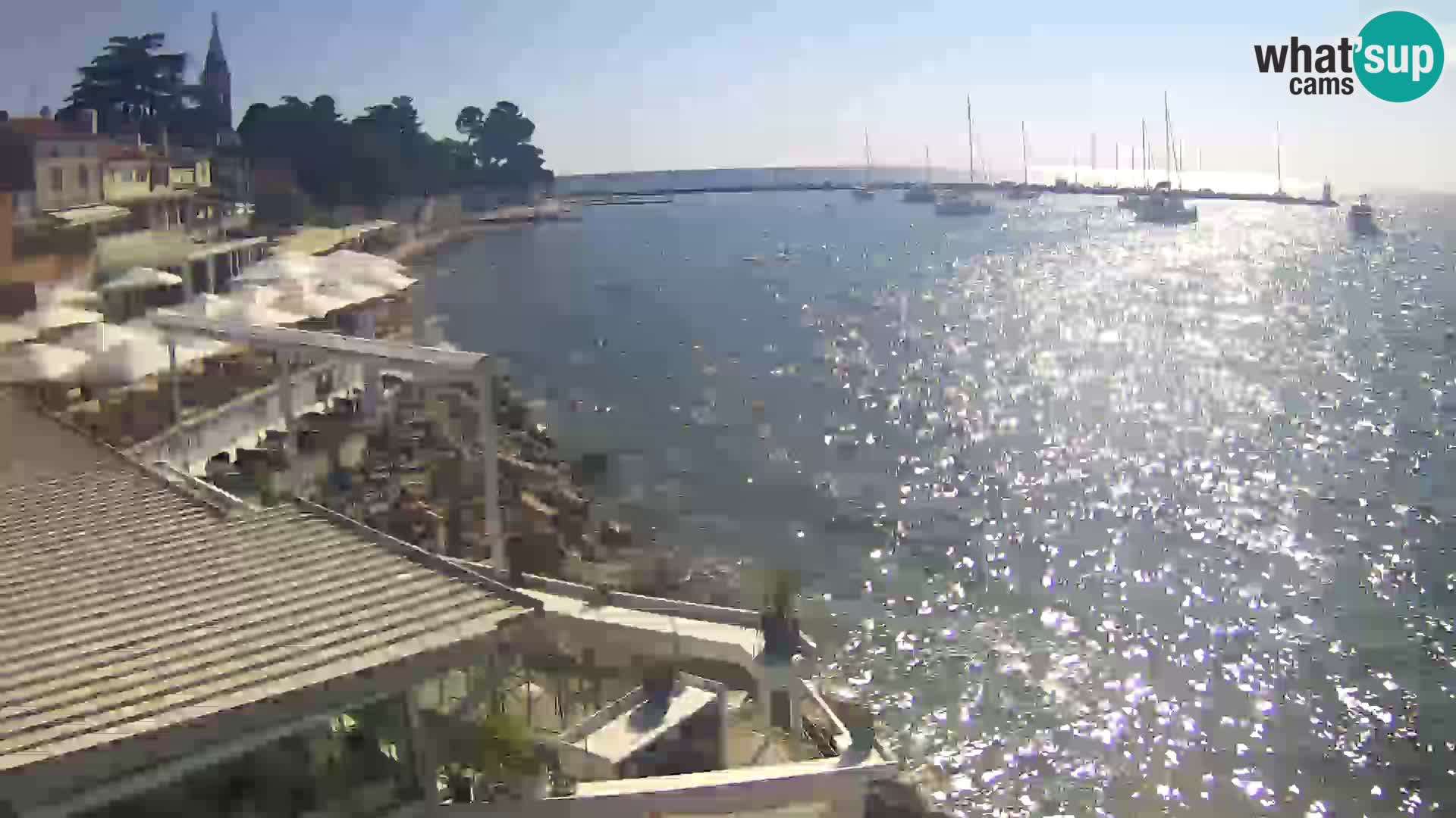 Live webcam Novigrad – Porporela – Istria – Croatia