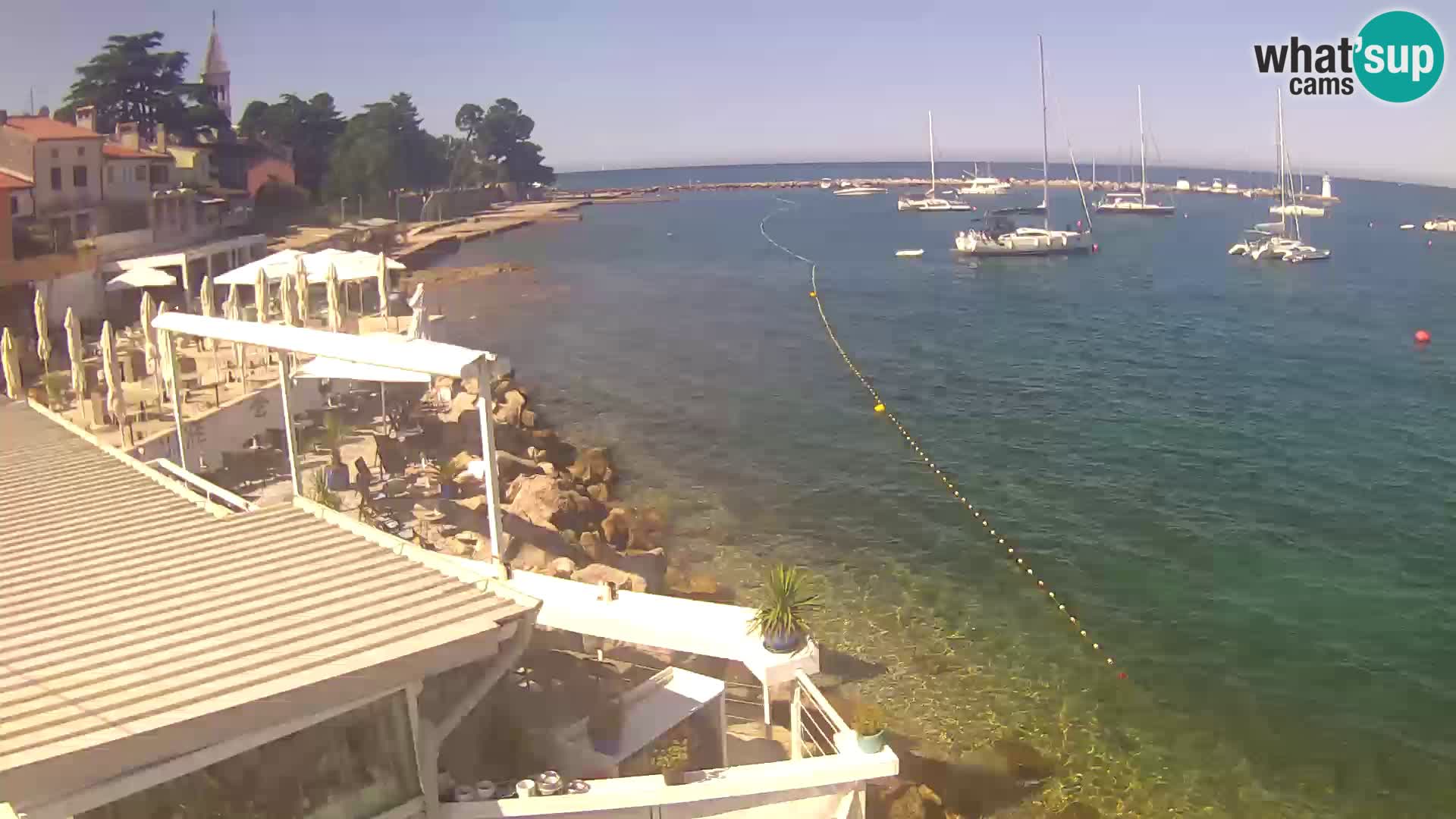 Novigrad live webcam – Porporela