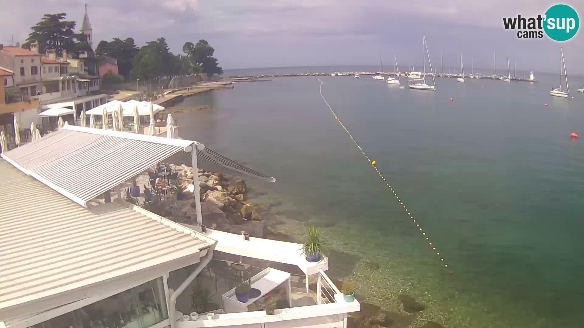 V živo Novigrad – Porporela