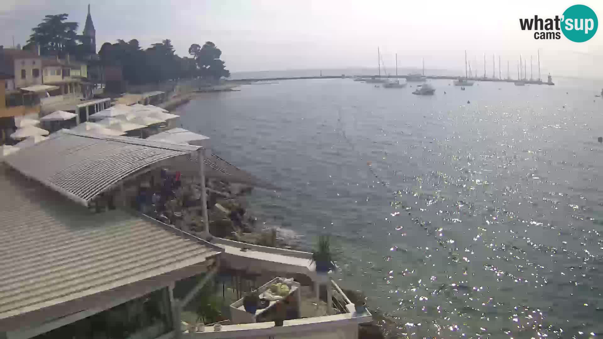 Live webcam Novigrad – Porporela – Istria – Croatia