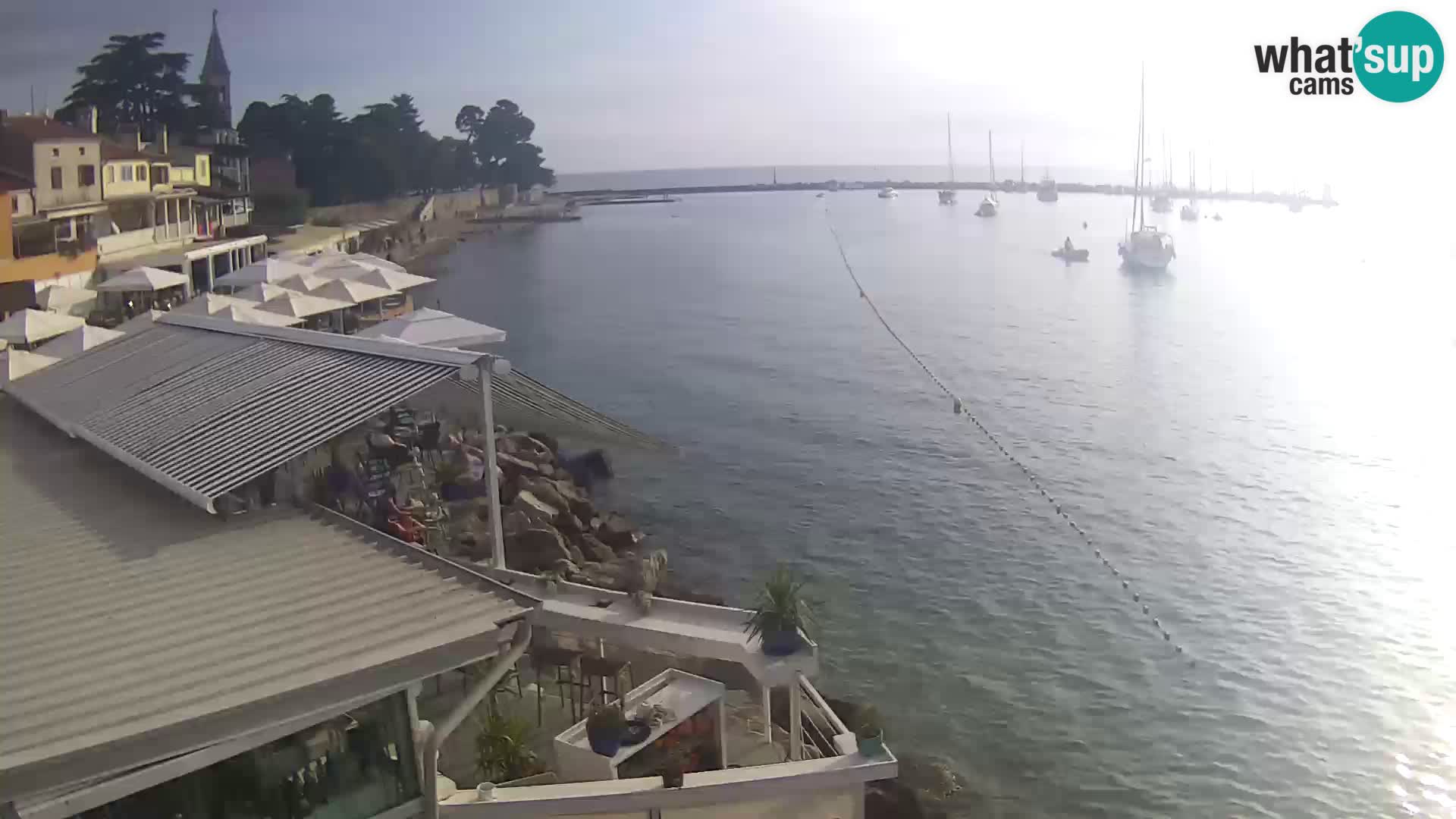 V živo Novigrad – Porporela