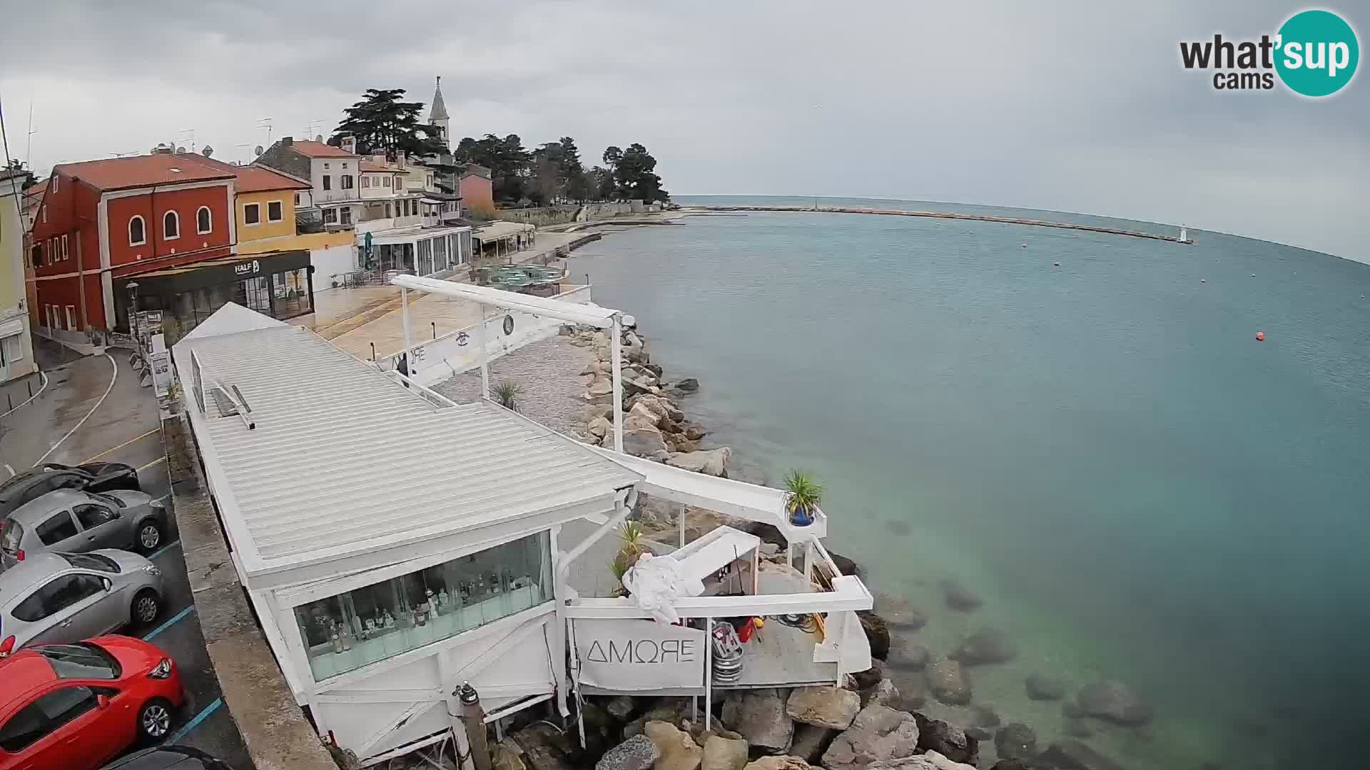 Novigrad live webcam – Porporela
