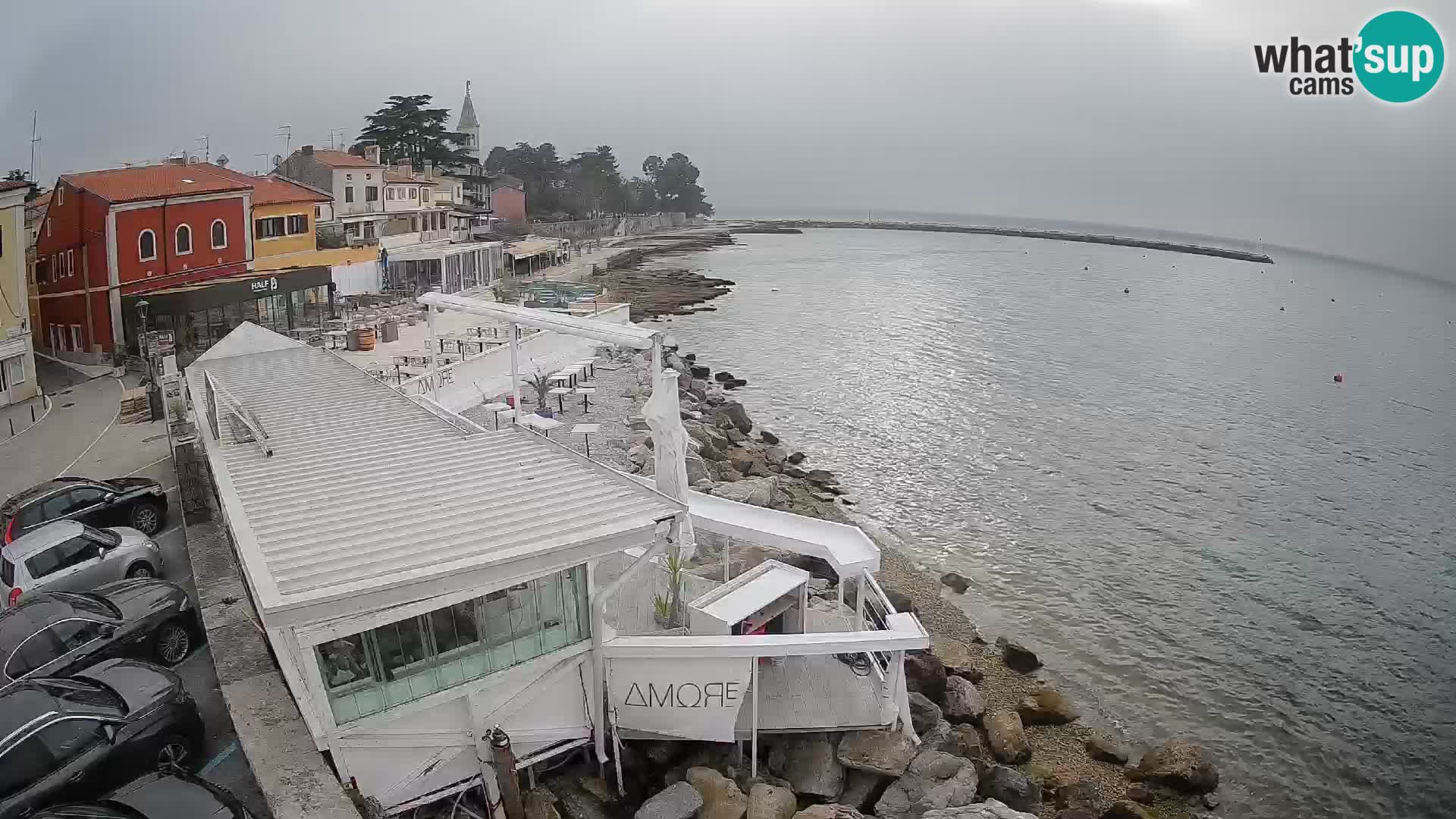 Cittanova – Porporela