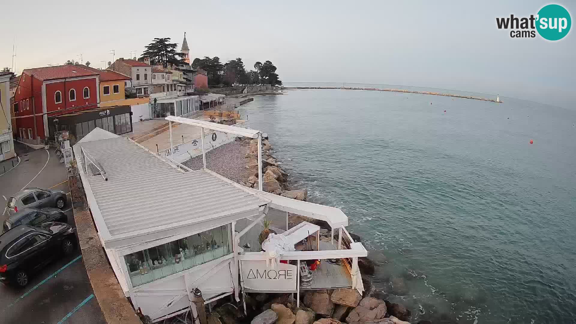 LIVE cam Novigrad – Porporela