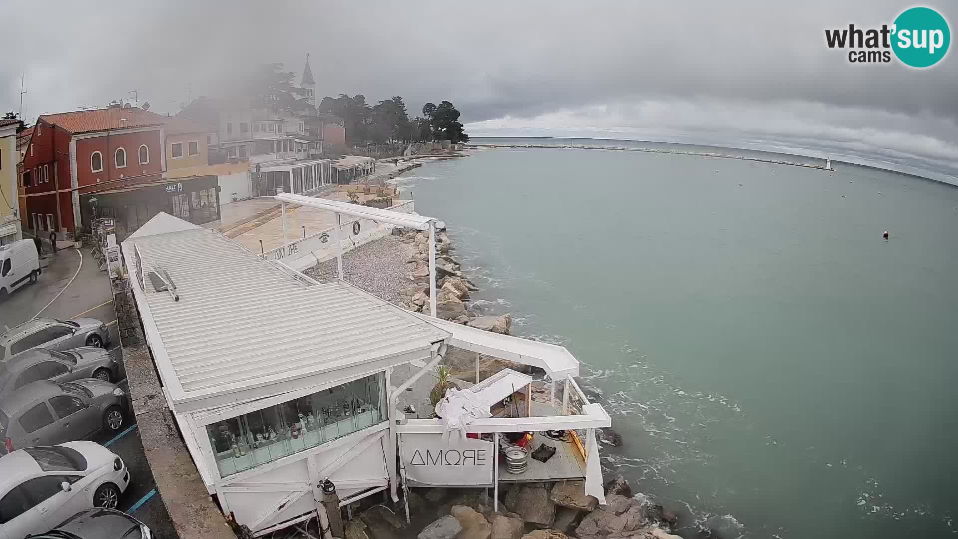 V živo Novigrad – Porporela