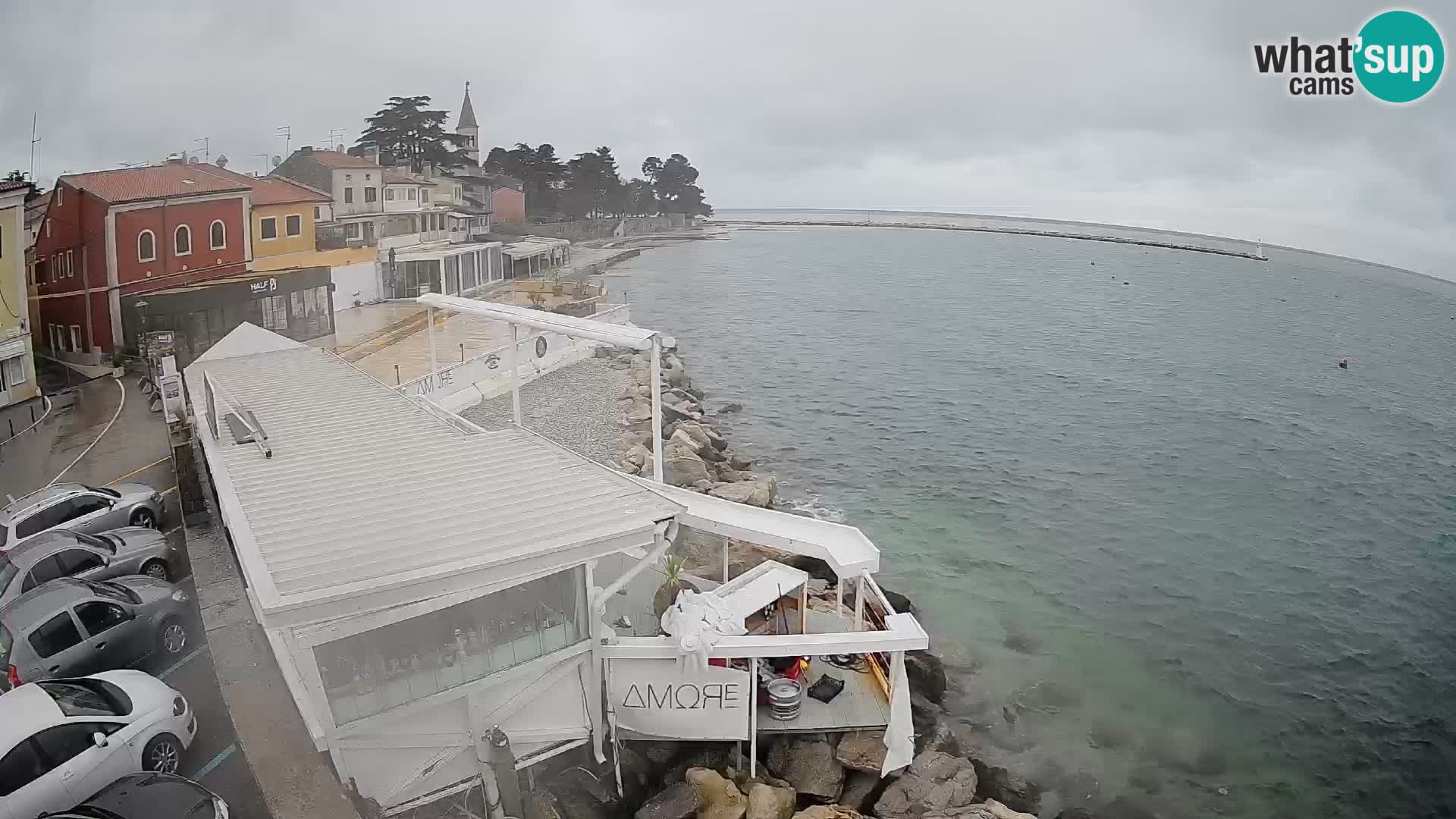 LIVE cam Novigrad – Porporela