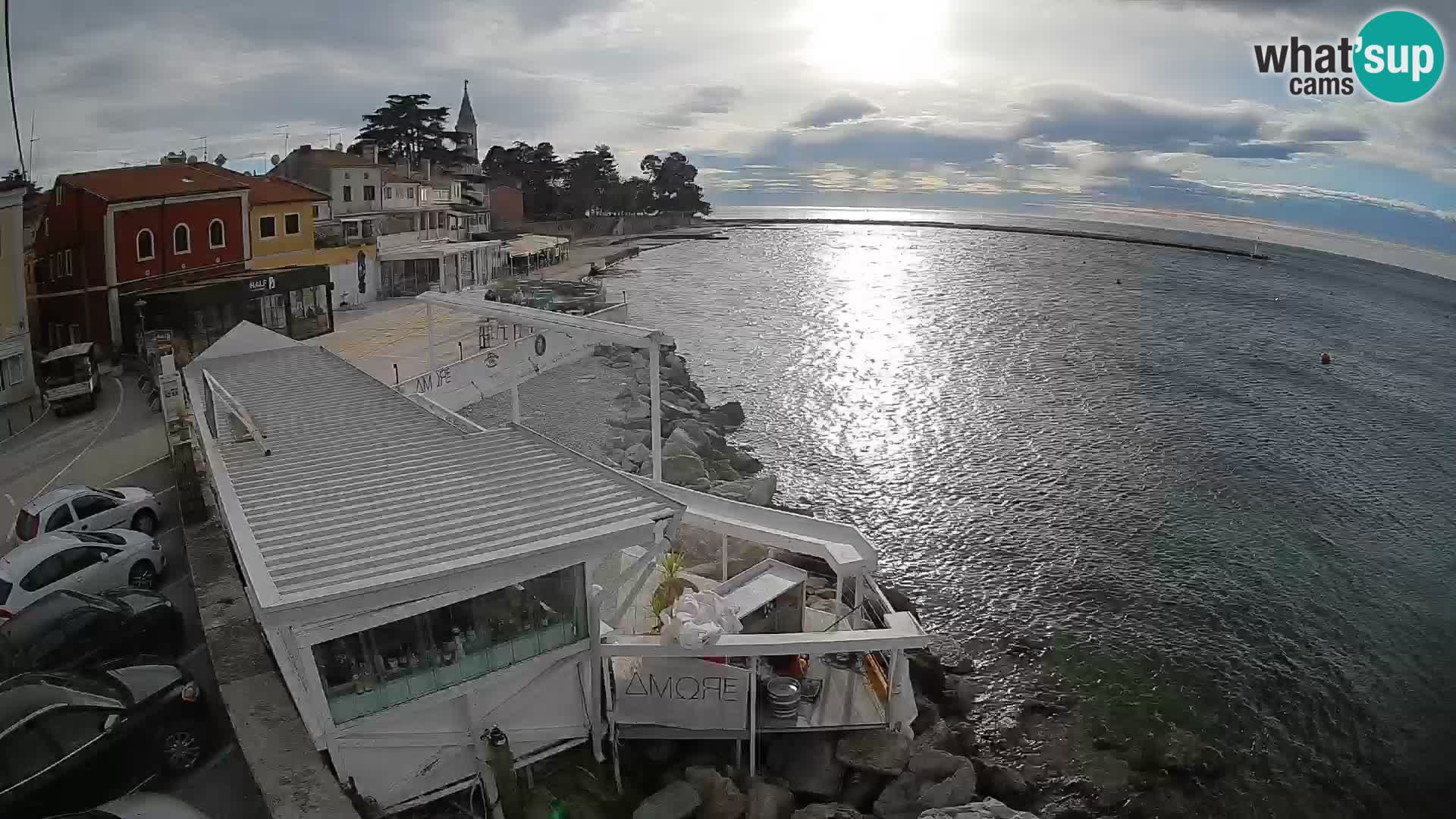 Cittanova – Porporela