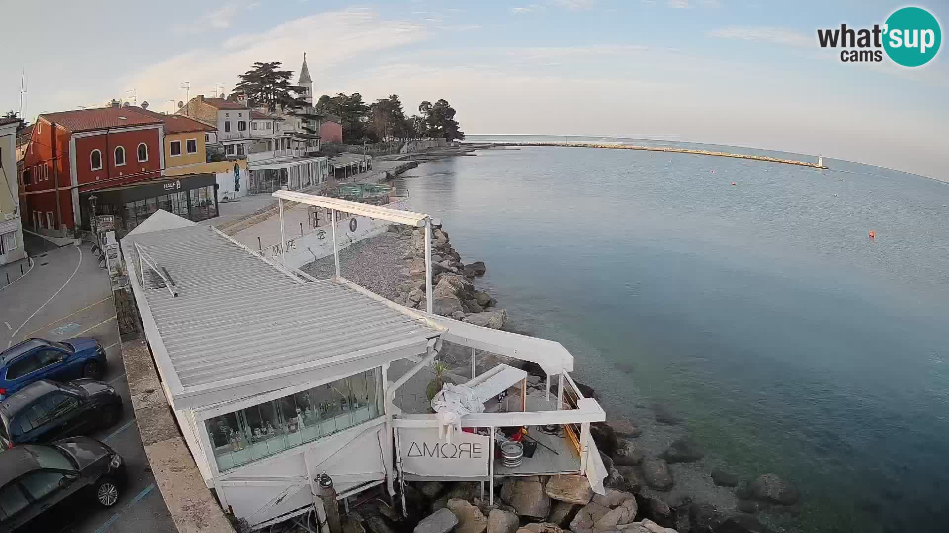 V živo Novigrad – Porporela