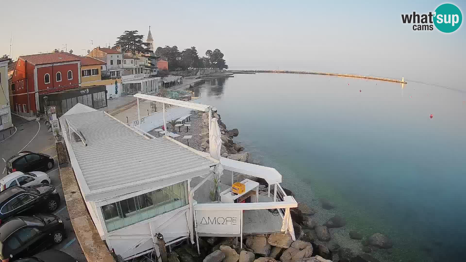 Live webcam Novigrad – Porporela – Istria – Croatia