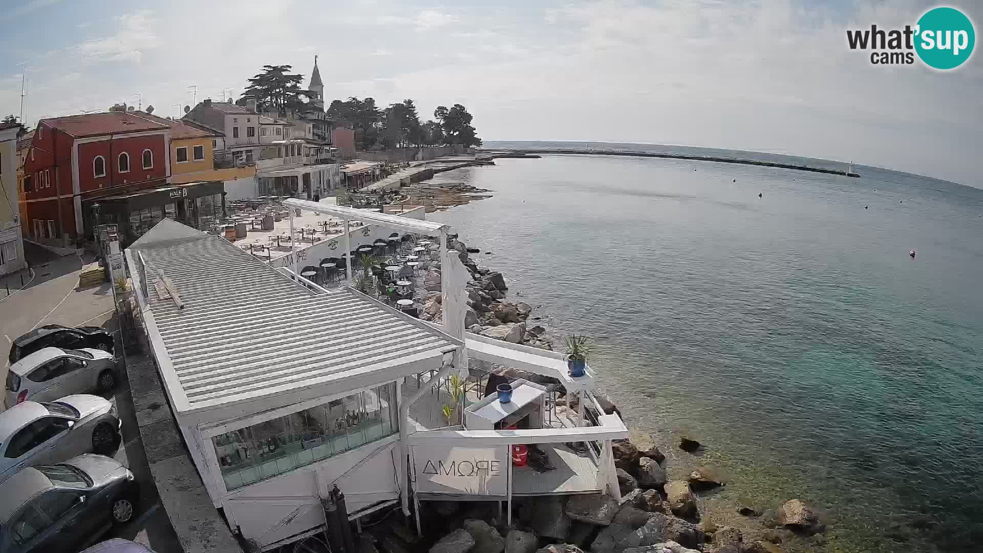 V živo Novigrad – Porporela