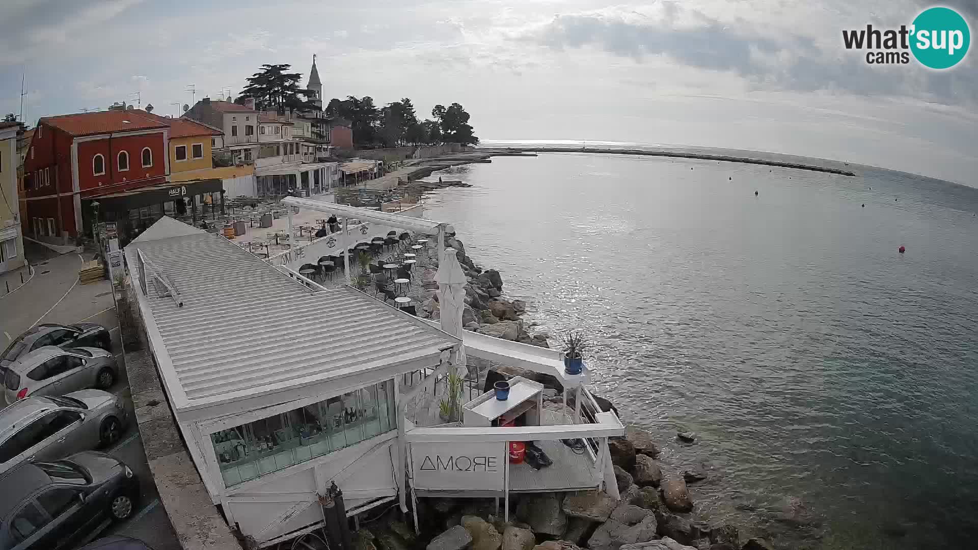 Novigrad live webcam – Porporela